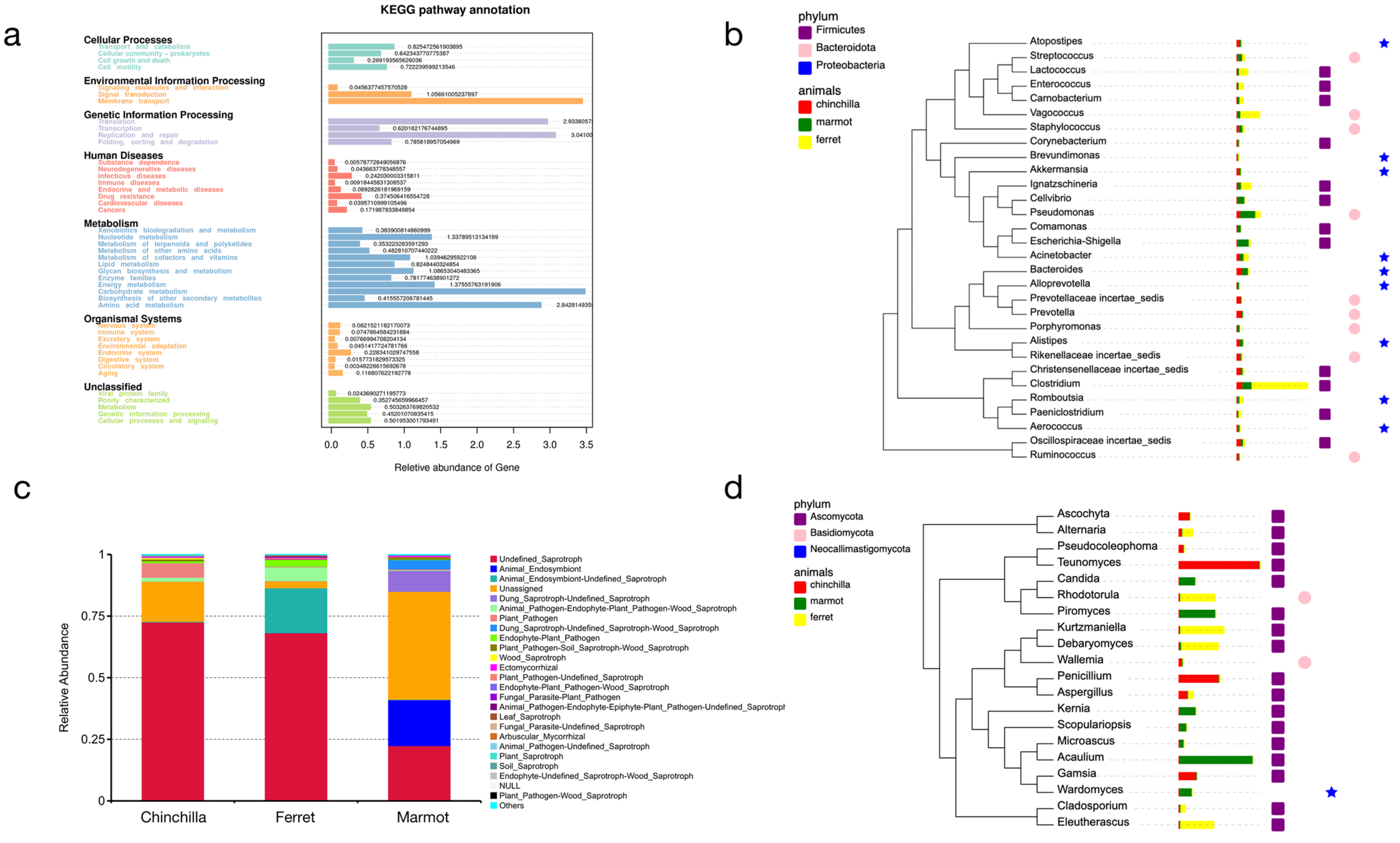 Microorganisms 12 00646 g008