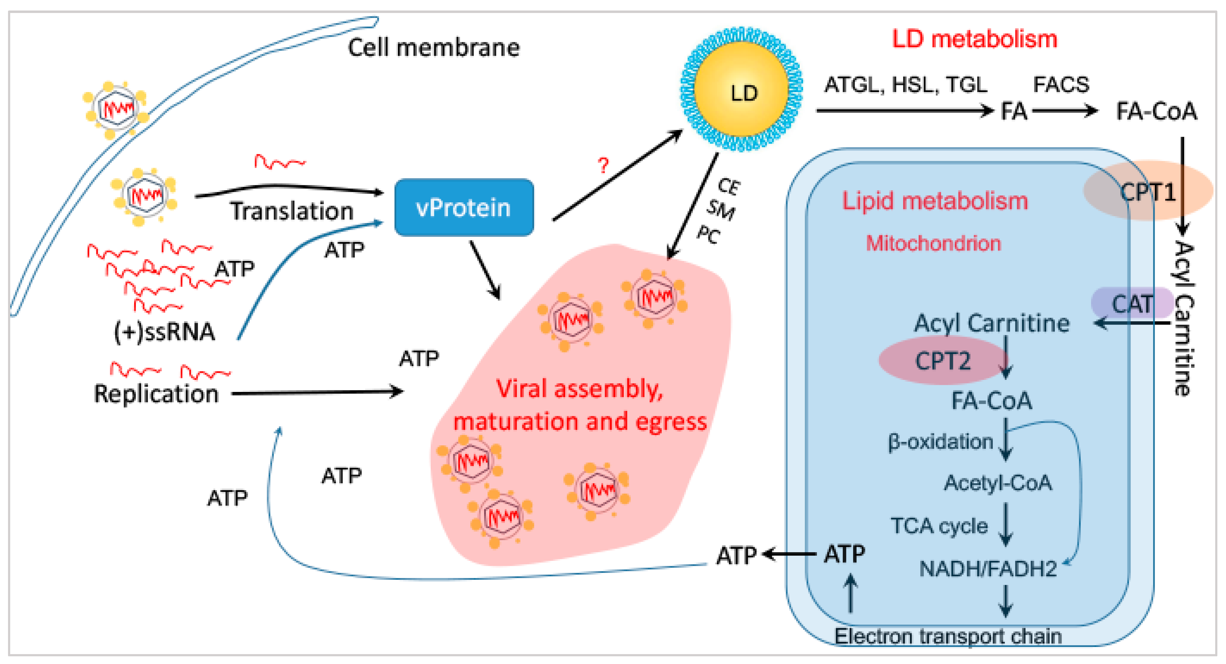 Microorganisms 12 00647 g005 Microorganisms 12 00647 g005