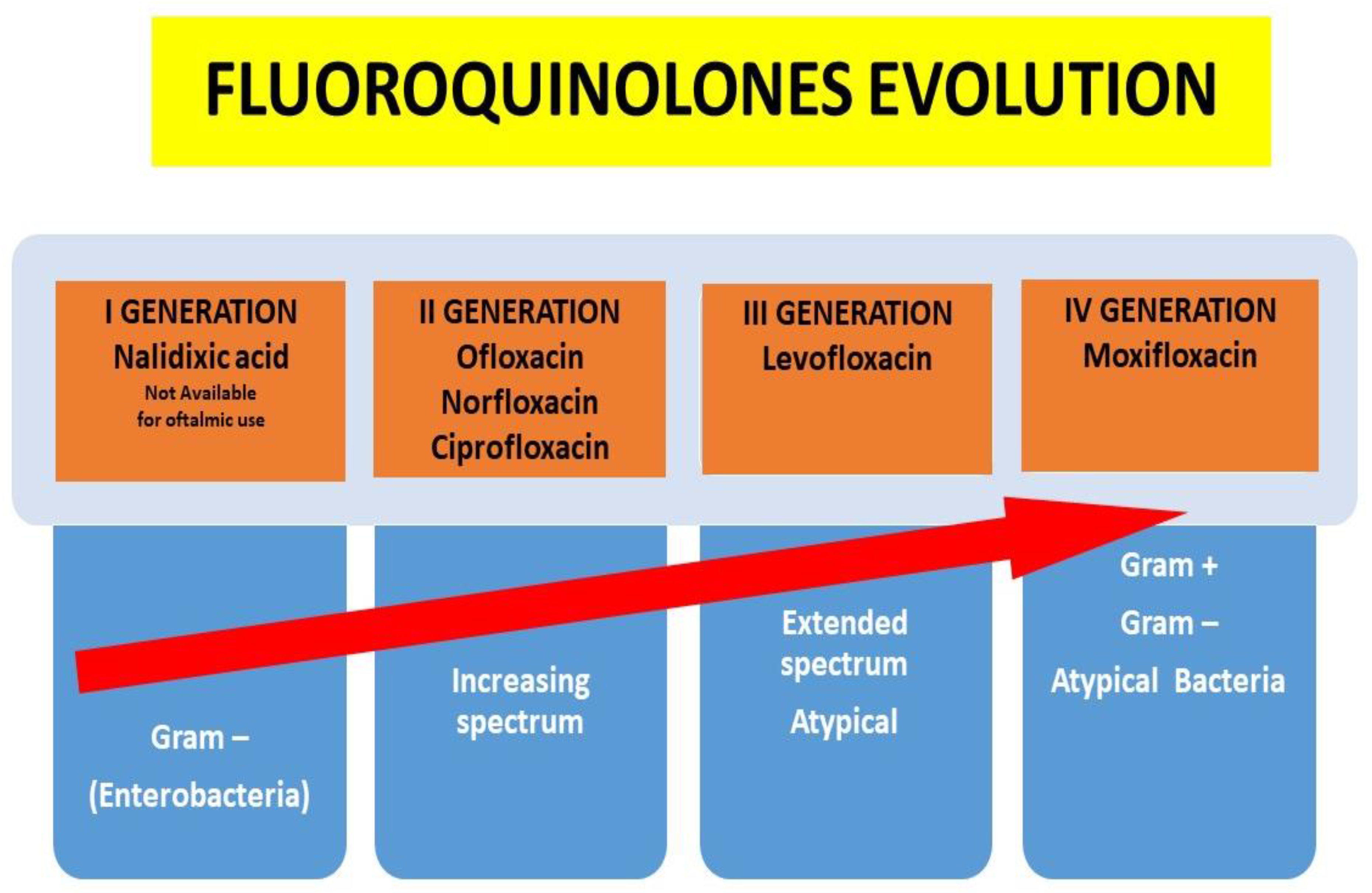 Microorganisms 12 00649 g001