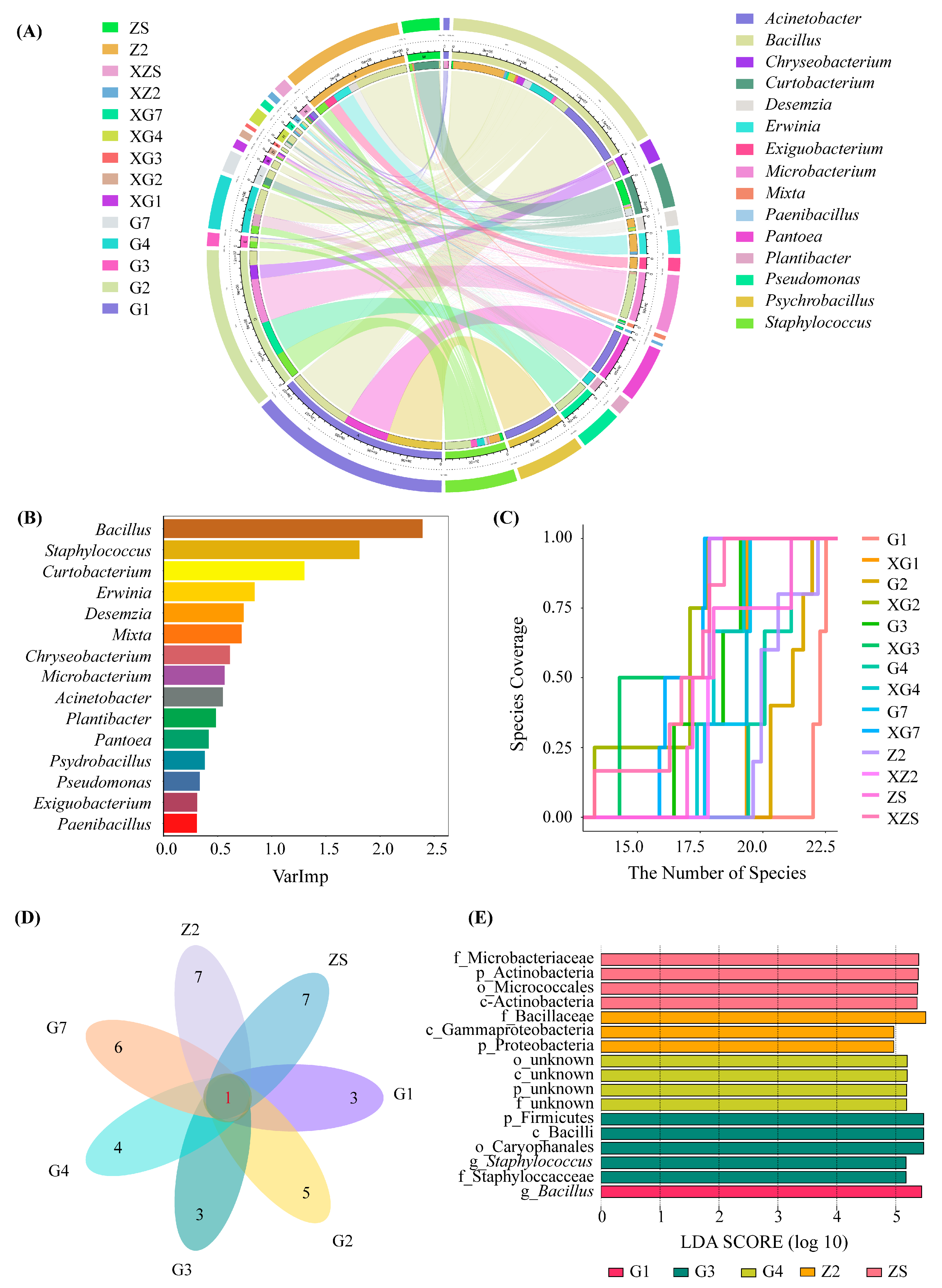 Microorganisms 12 00650 g002