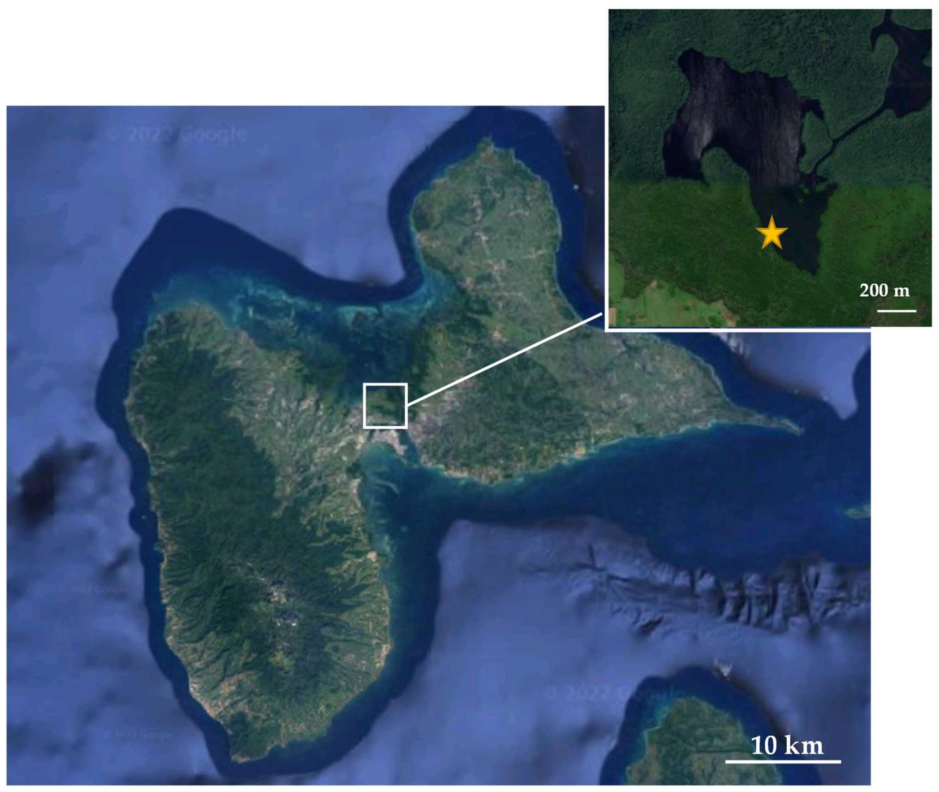 Microorganisms 12 00652 g001 Microorganisms 12 00652 g001