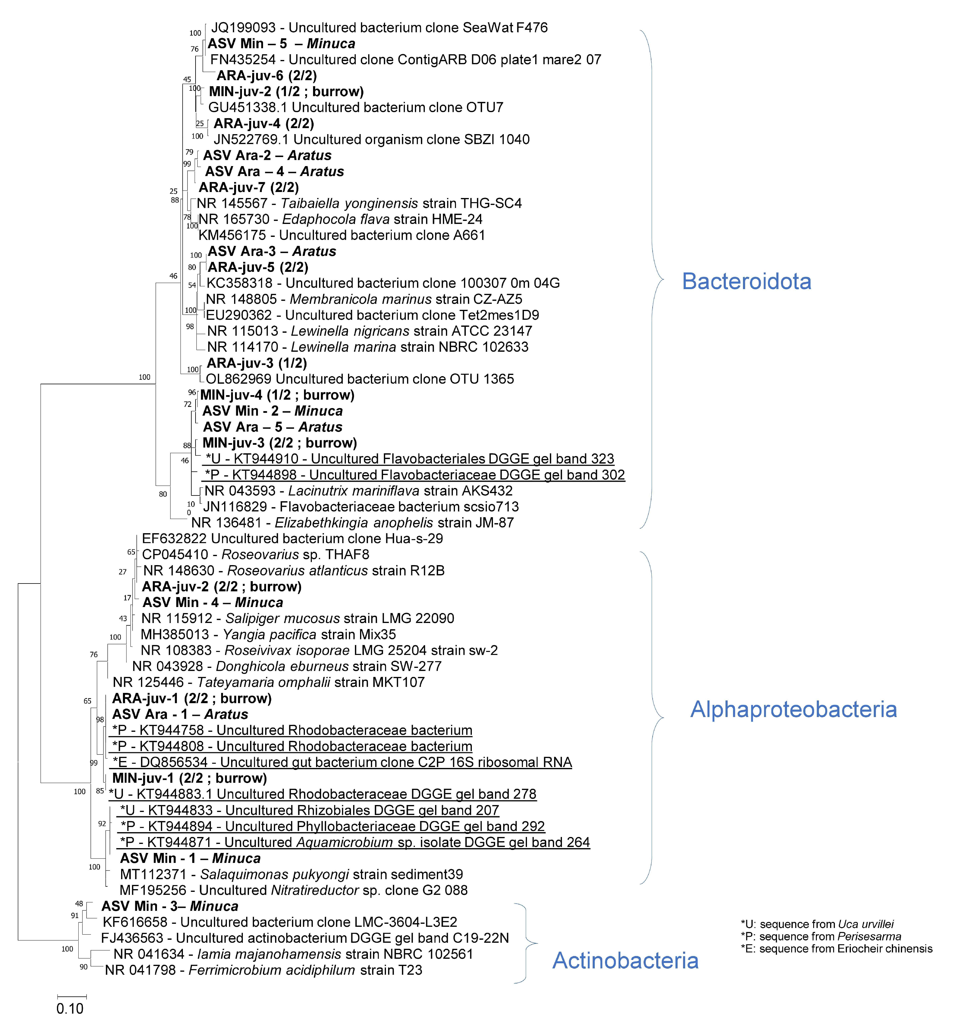 Microorganisms 12 00652 g006 Microorganisms 12 00652 g006