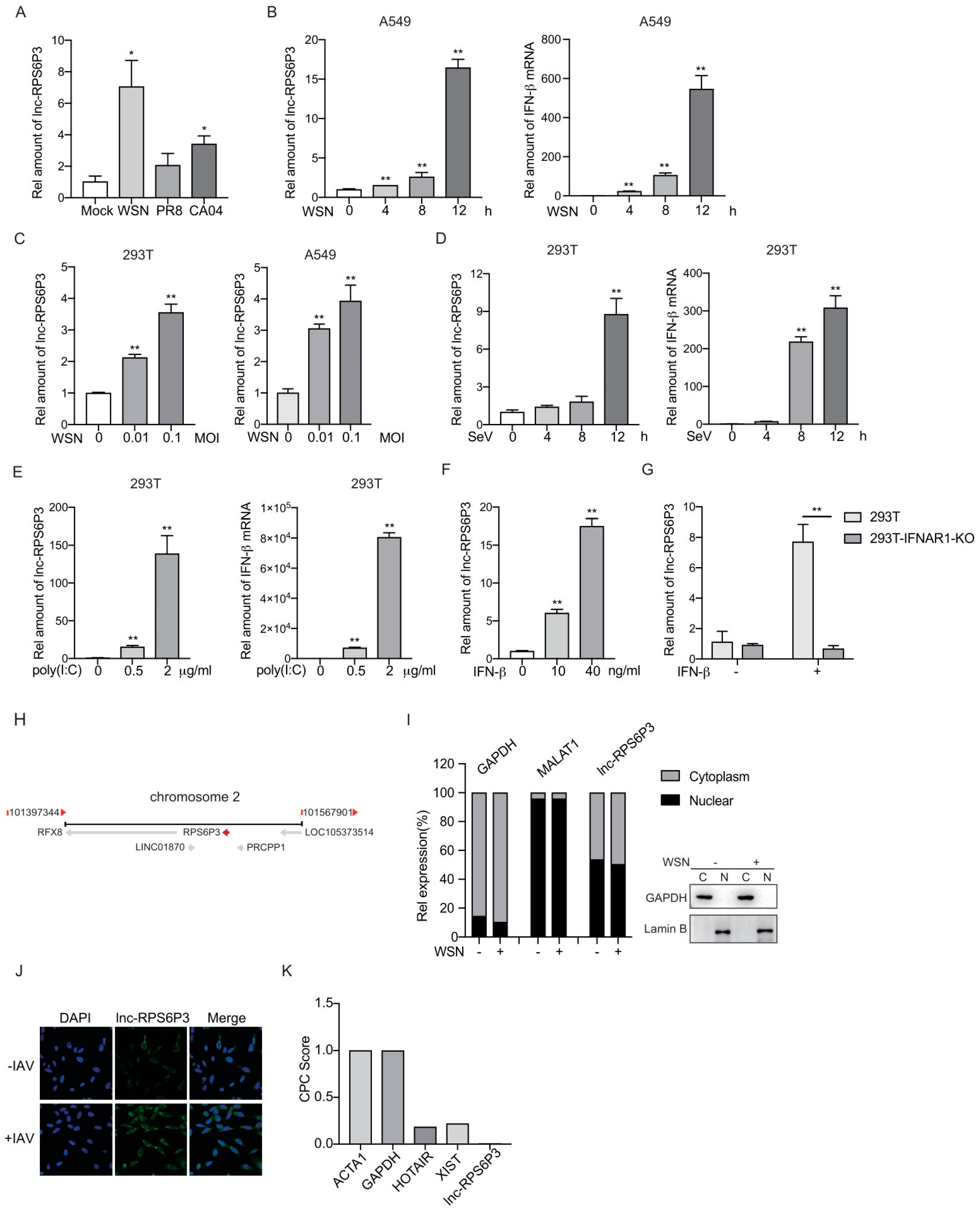Microorganisms 12 00654 g001