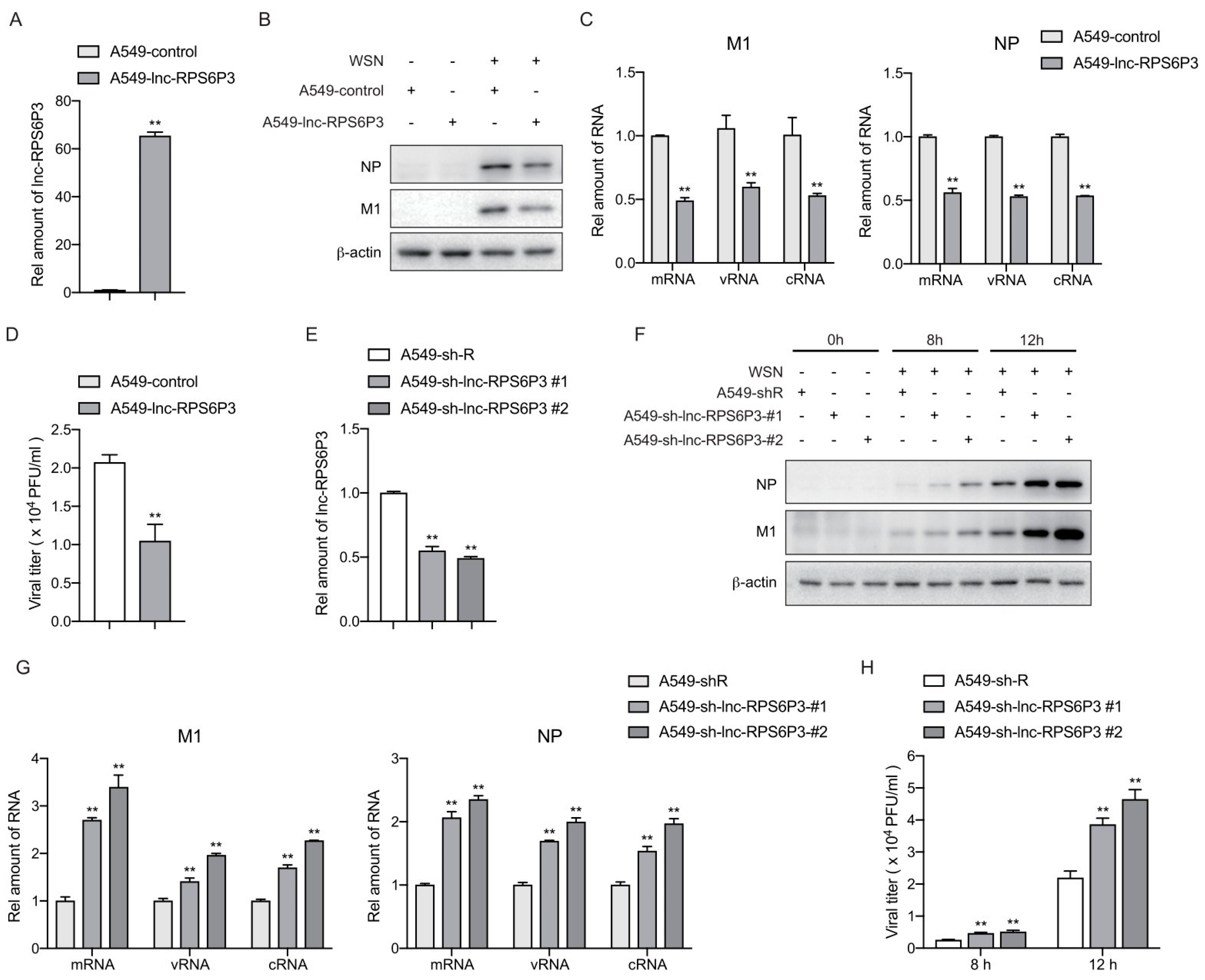 Microorganisms 12 00654 g002