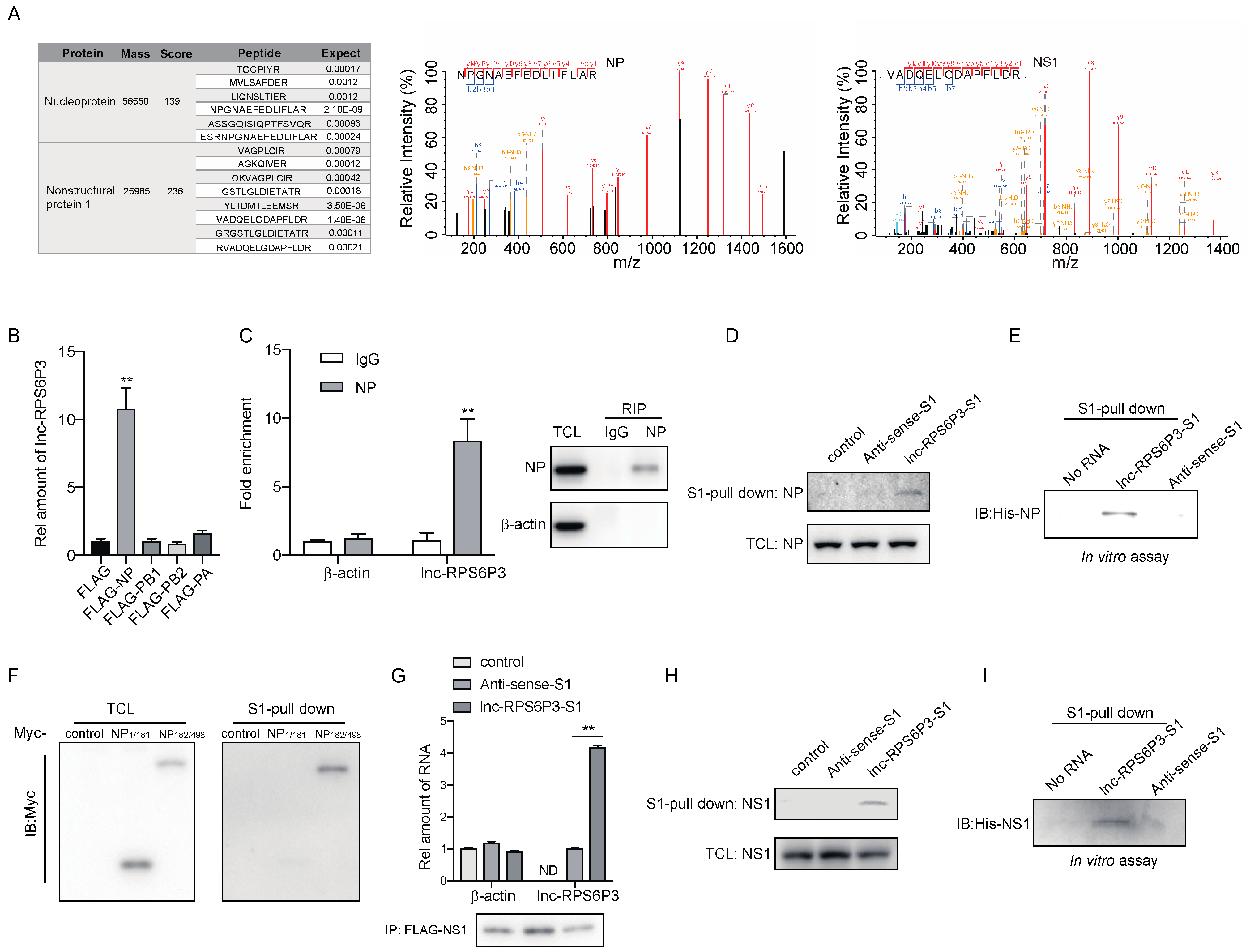 Microorganisms 12 00654 g003