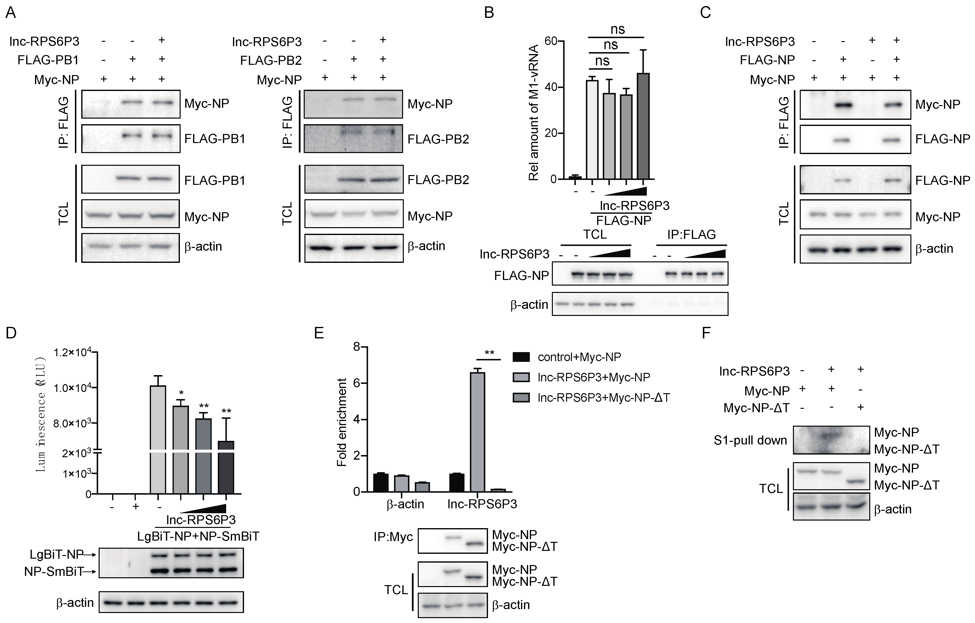 Microorganisms 12 00654 g005