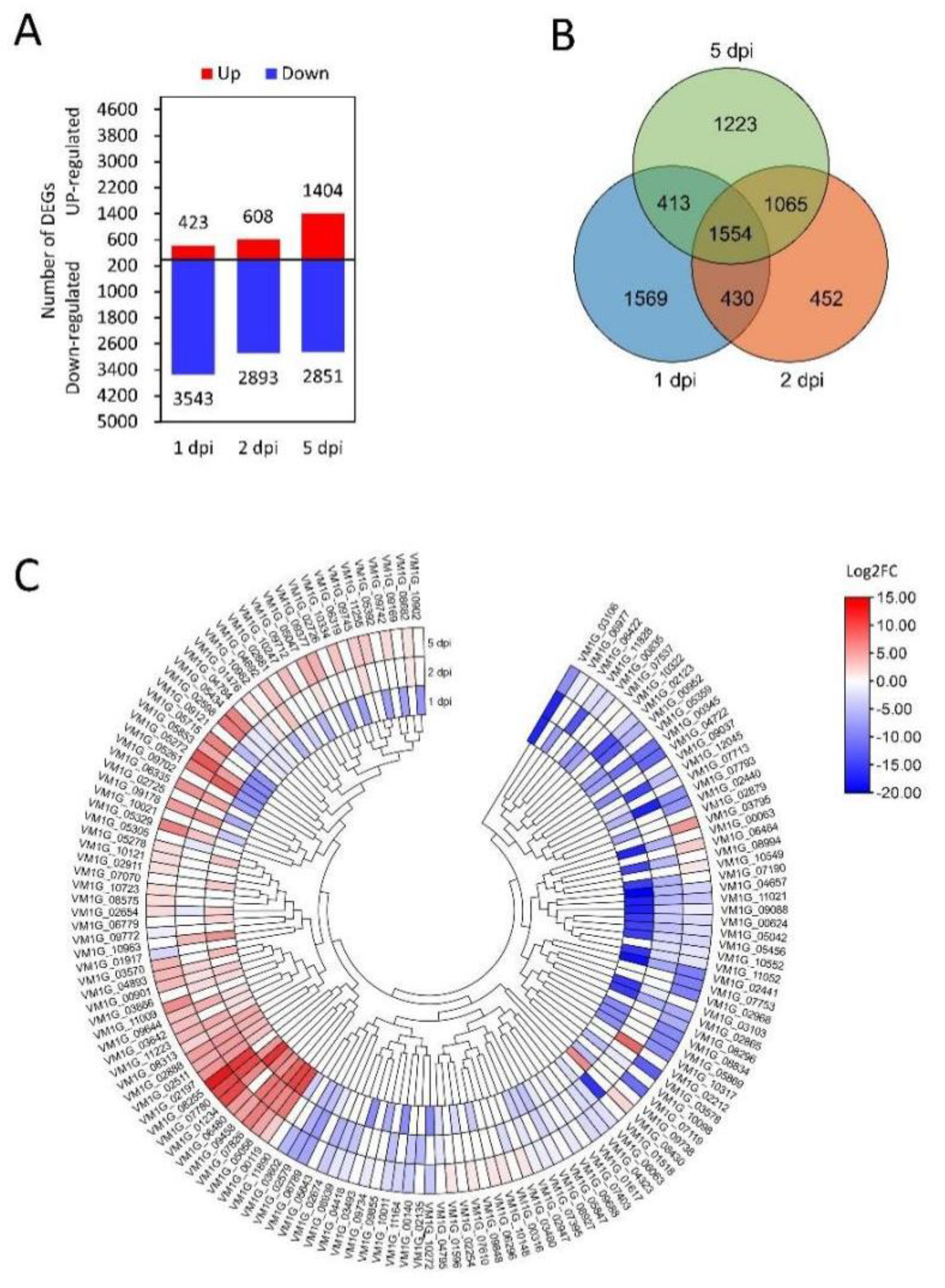 Microorganisms 12 00655 g002