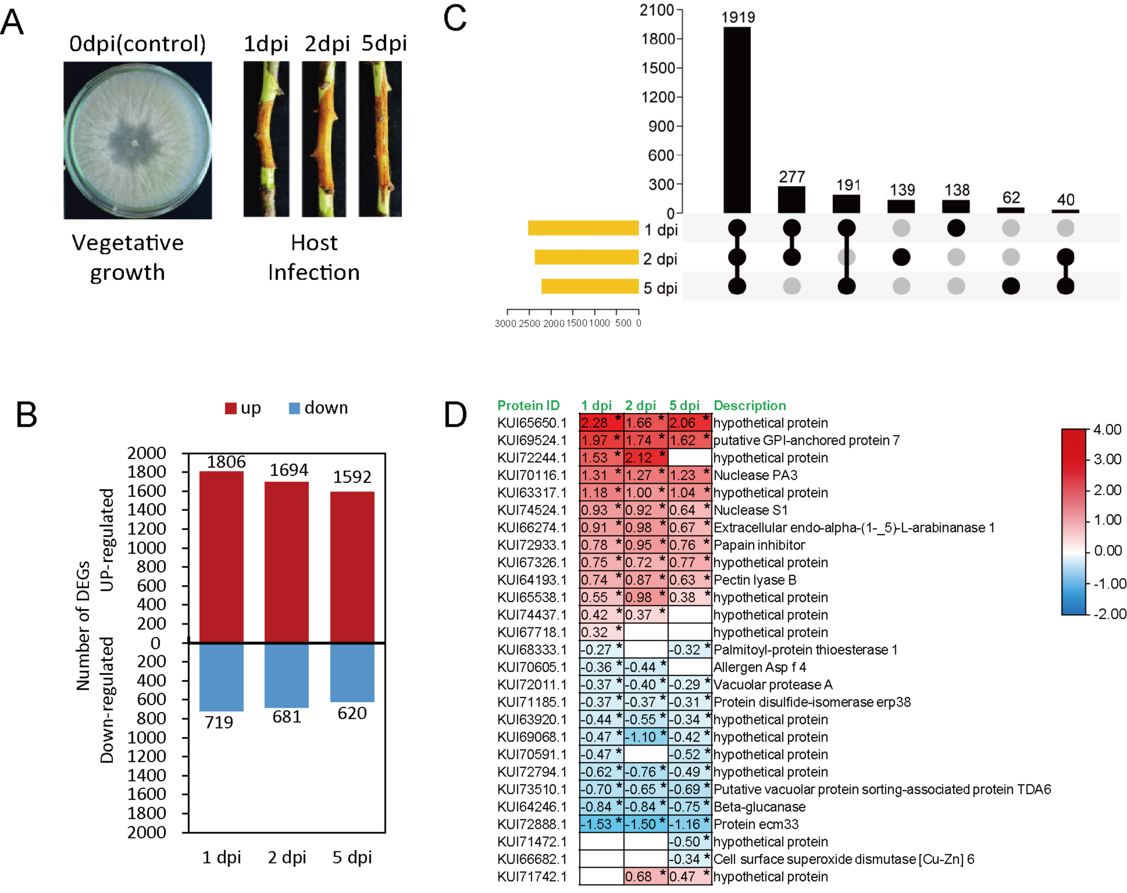 Microorganisms 12 00655 g003