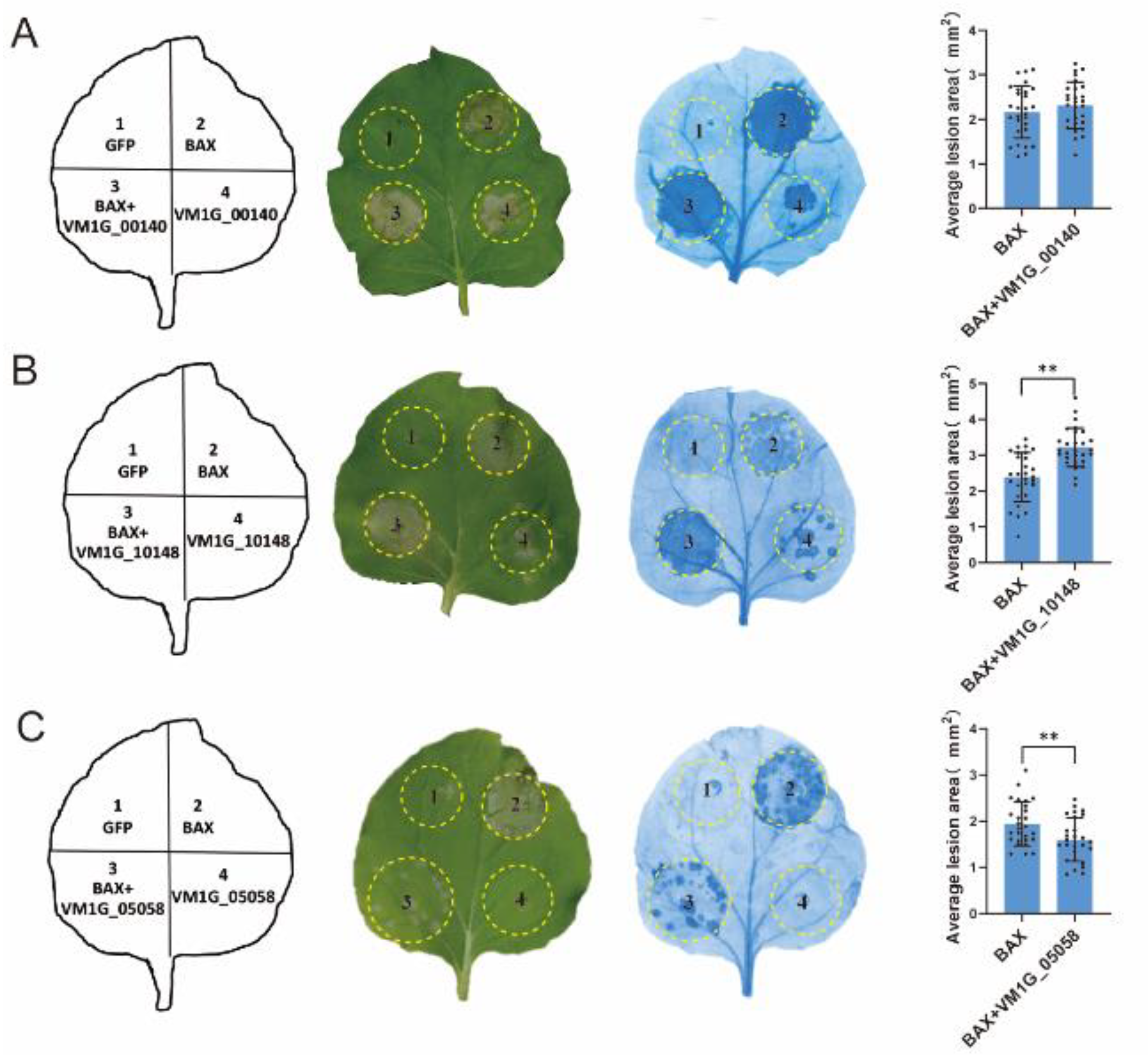 Microorganisms 12 00655 g005
