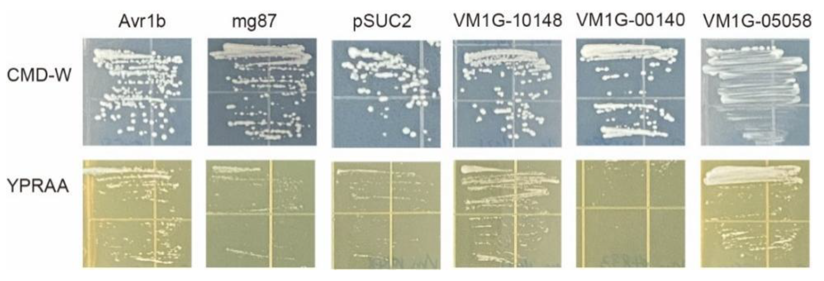 Microorganisms 12 00655 g006