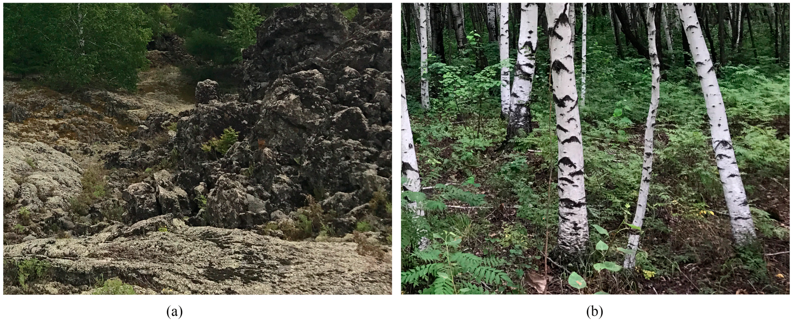 Microorganisms 12 00656 g002 Microorganisms 12 00656 g002