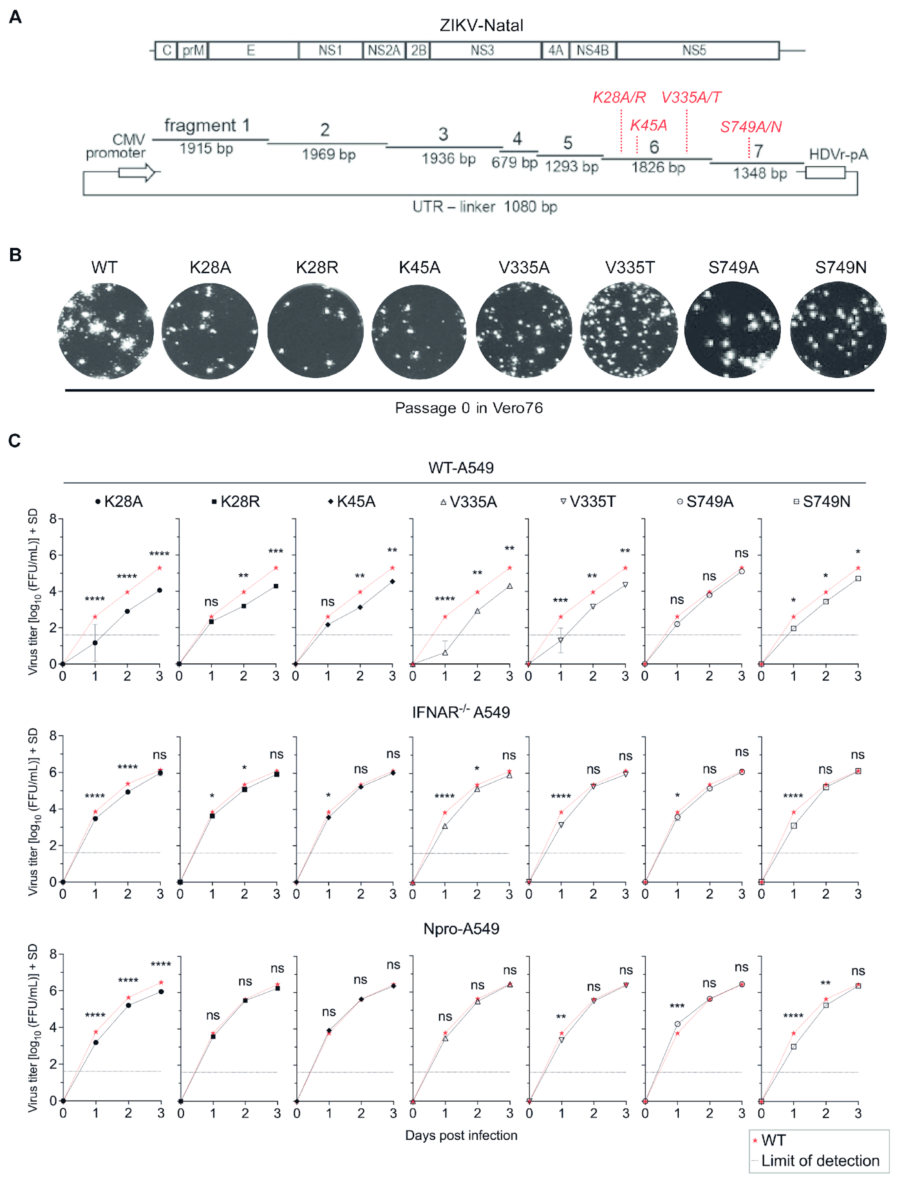Microorganisms 12 00660 g002