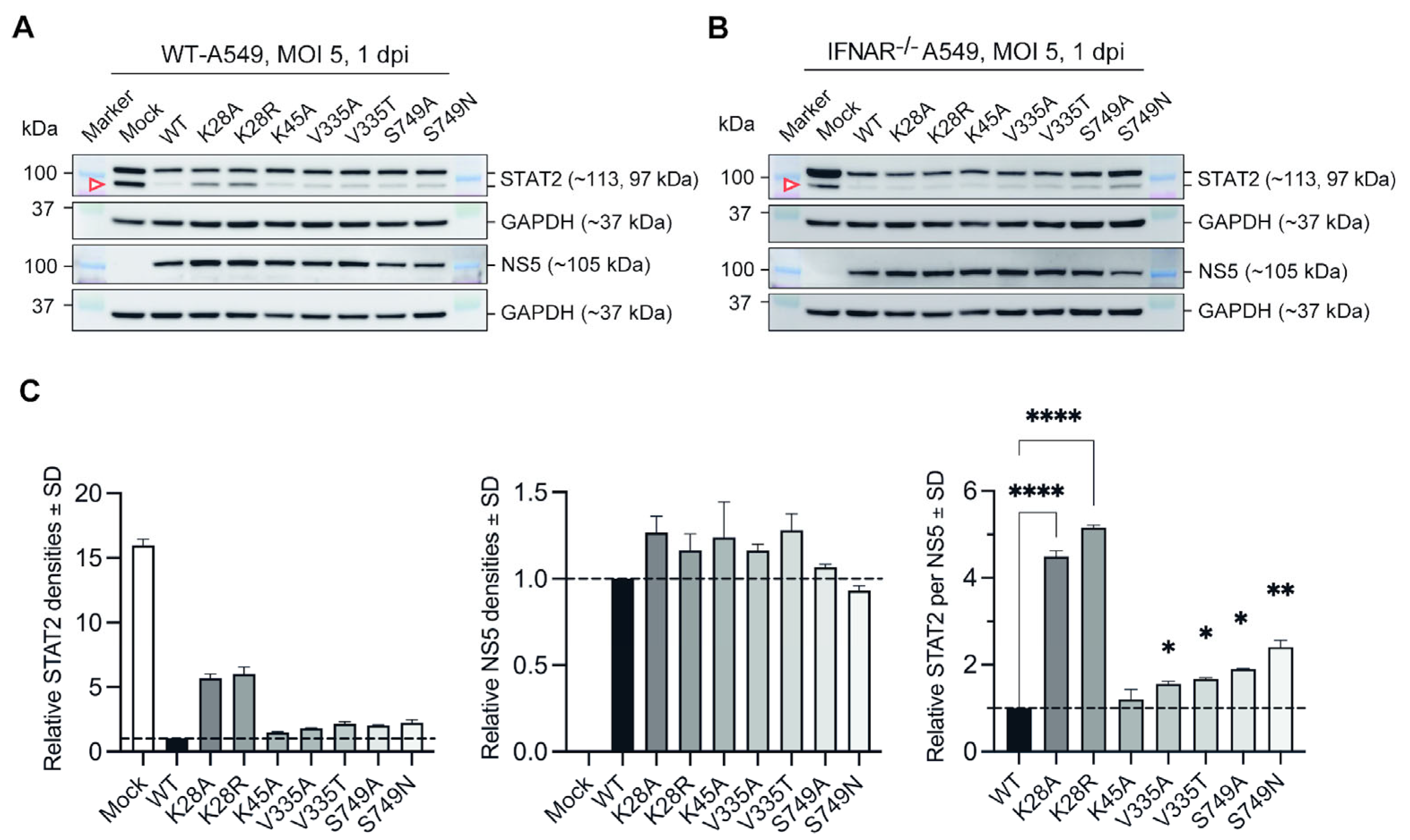 Microorganisms 12 00660 g003
