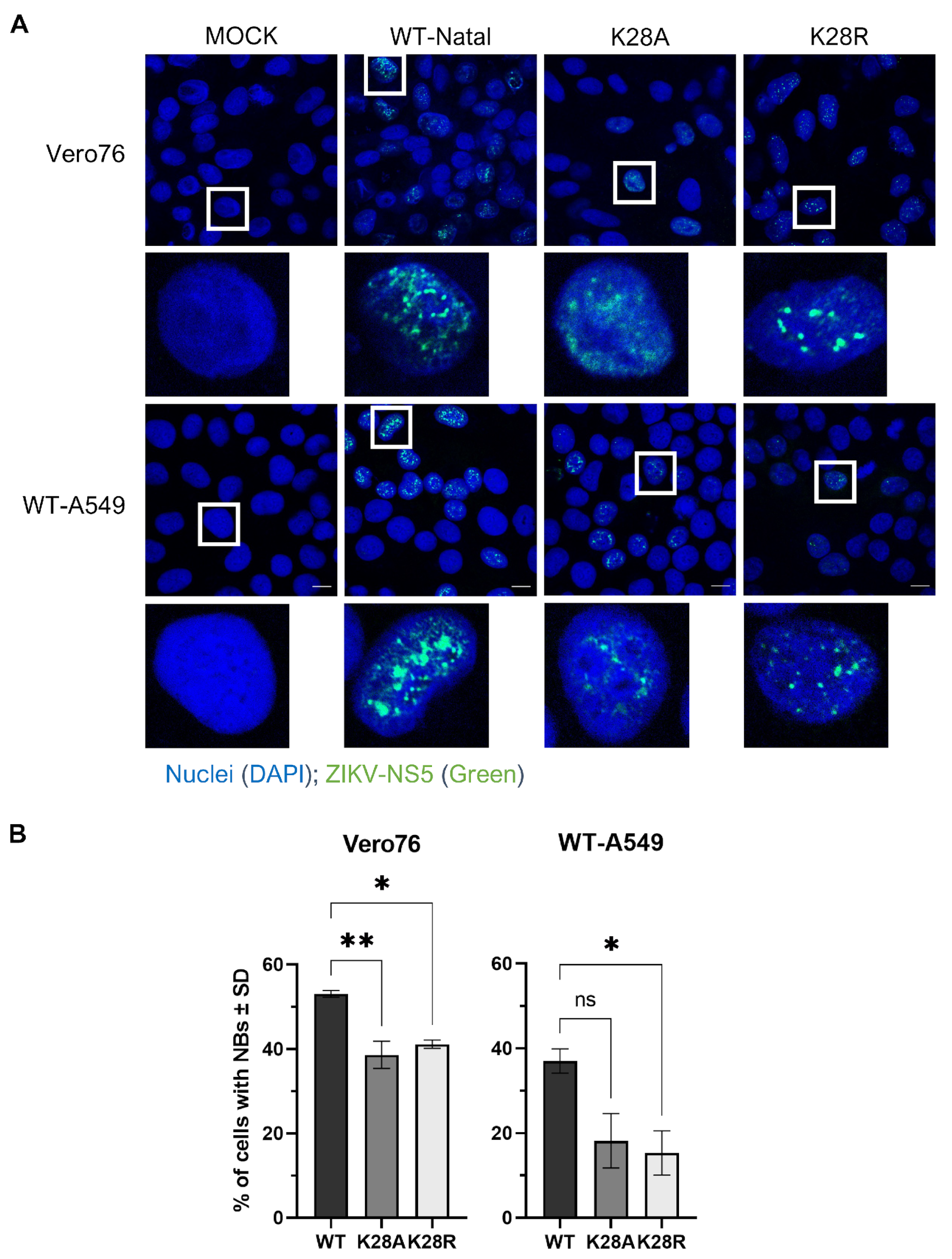 Microorganisms 12 00660 g004