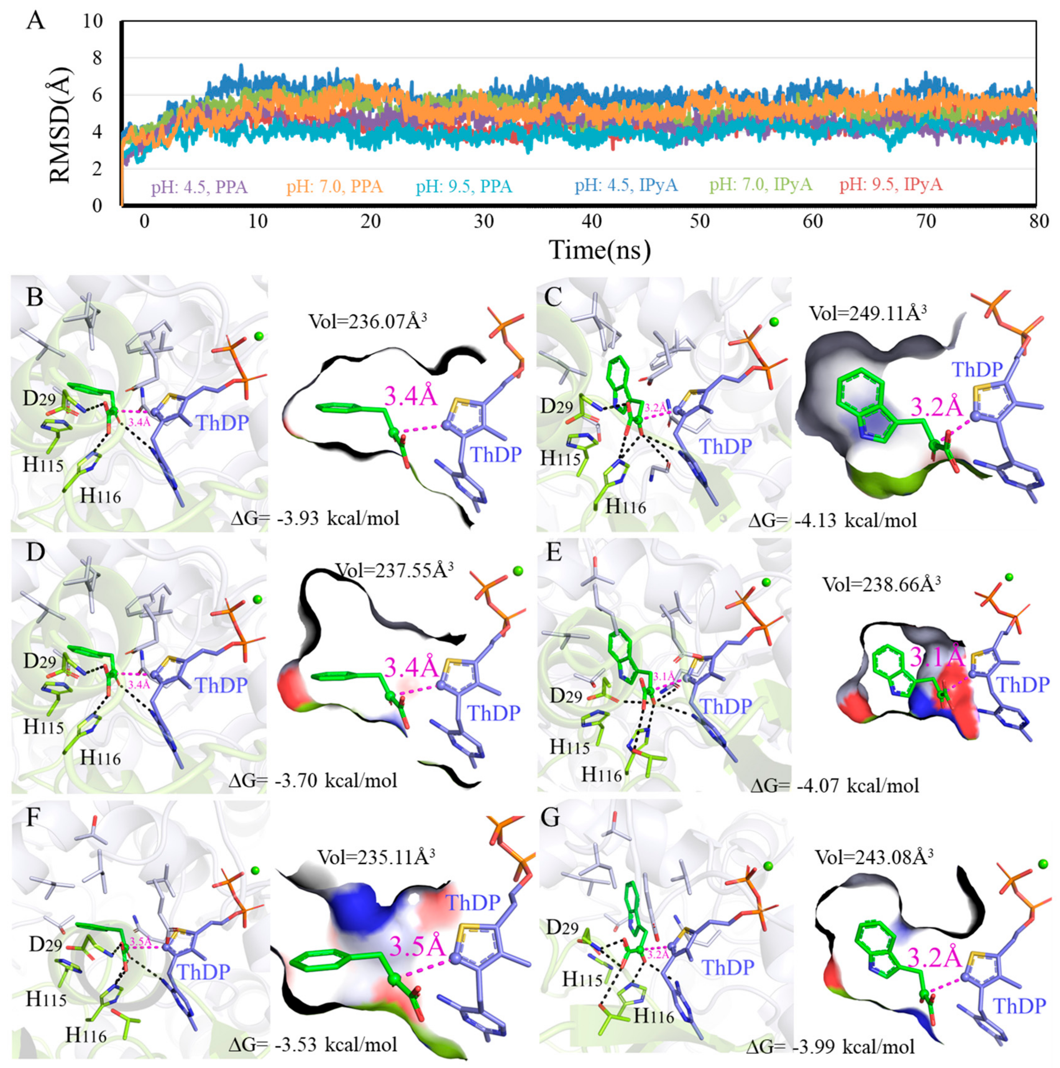 Microorganisms 12 00663 g006