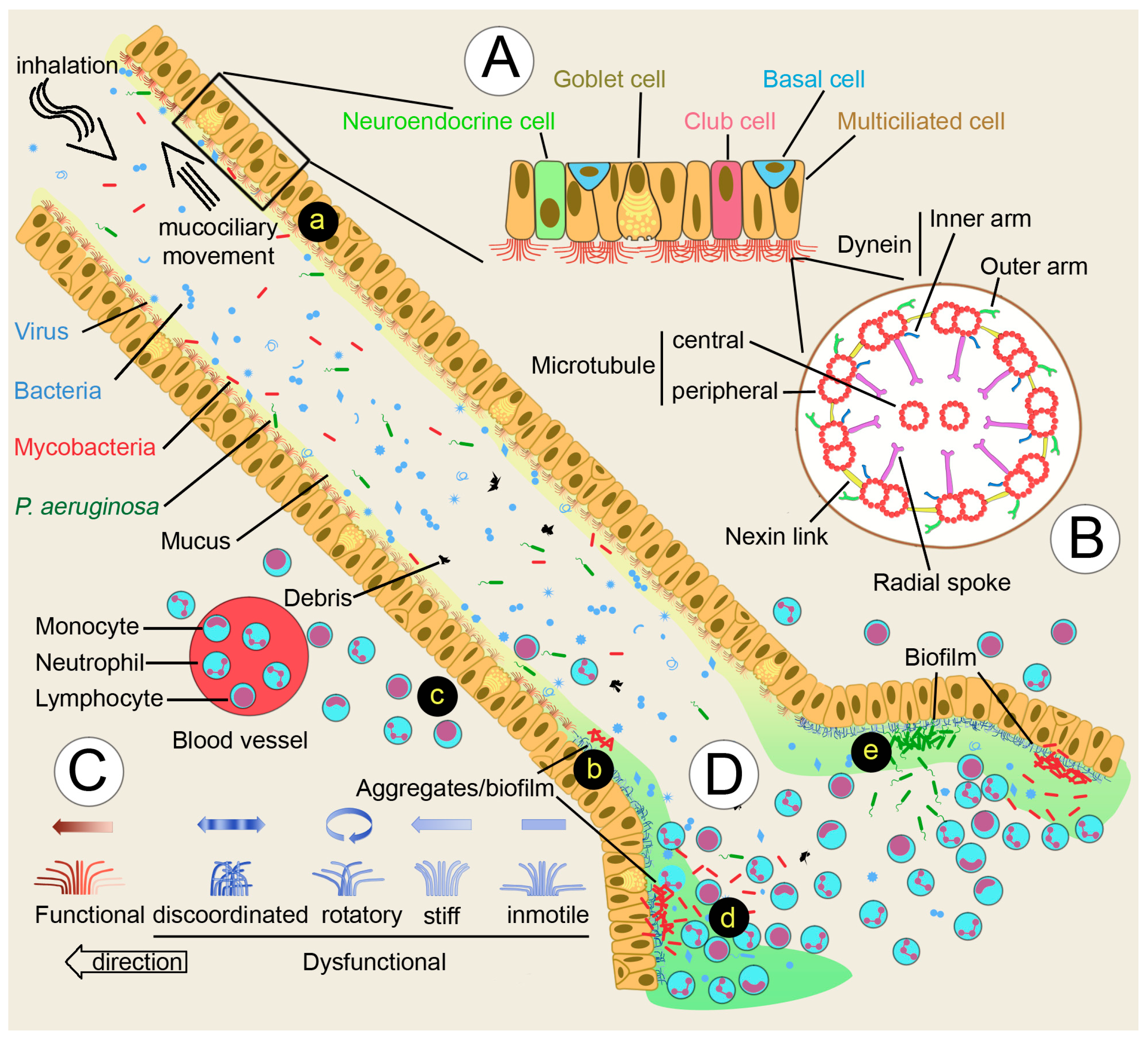 Microorganisms 12 00665 g001 Microorganisms 12 00665 g001