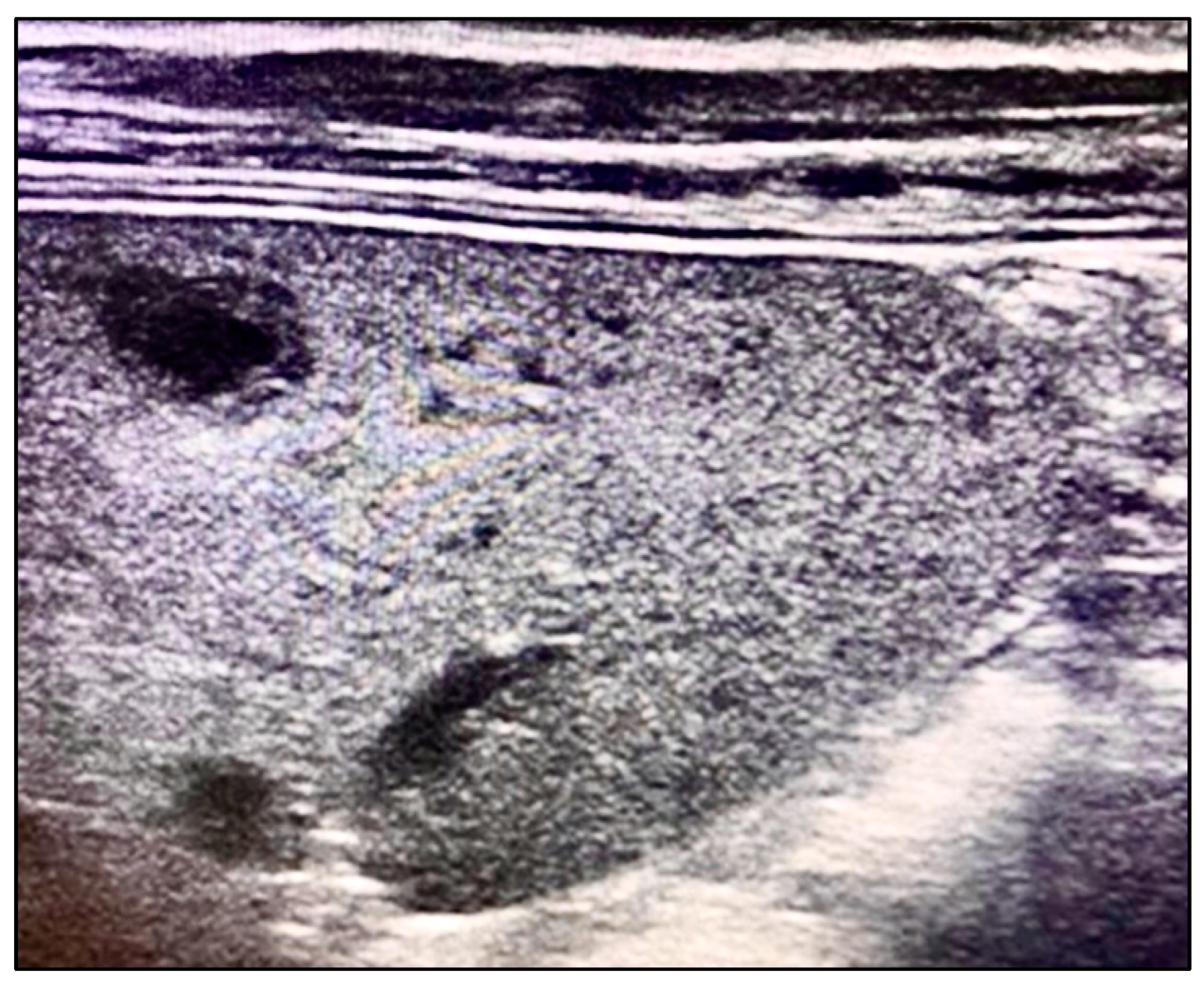 Microorganisms 12 00666 g001