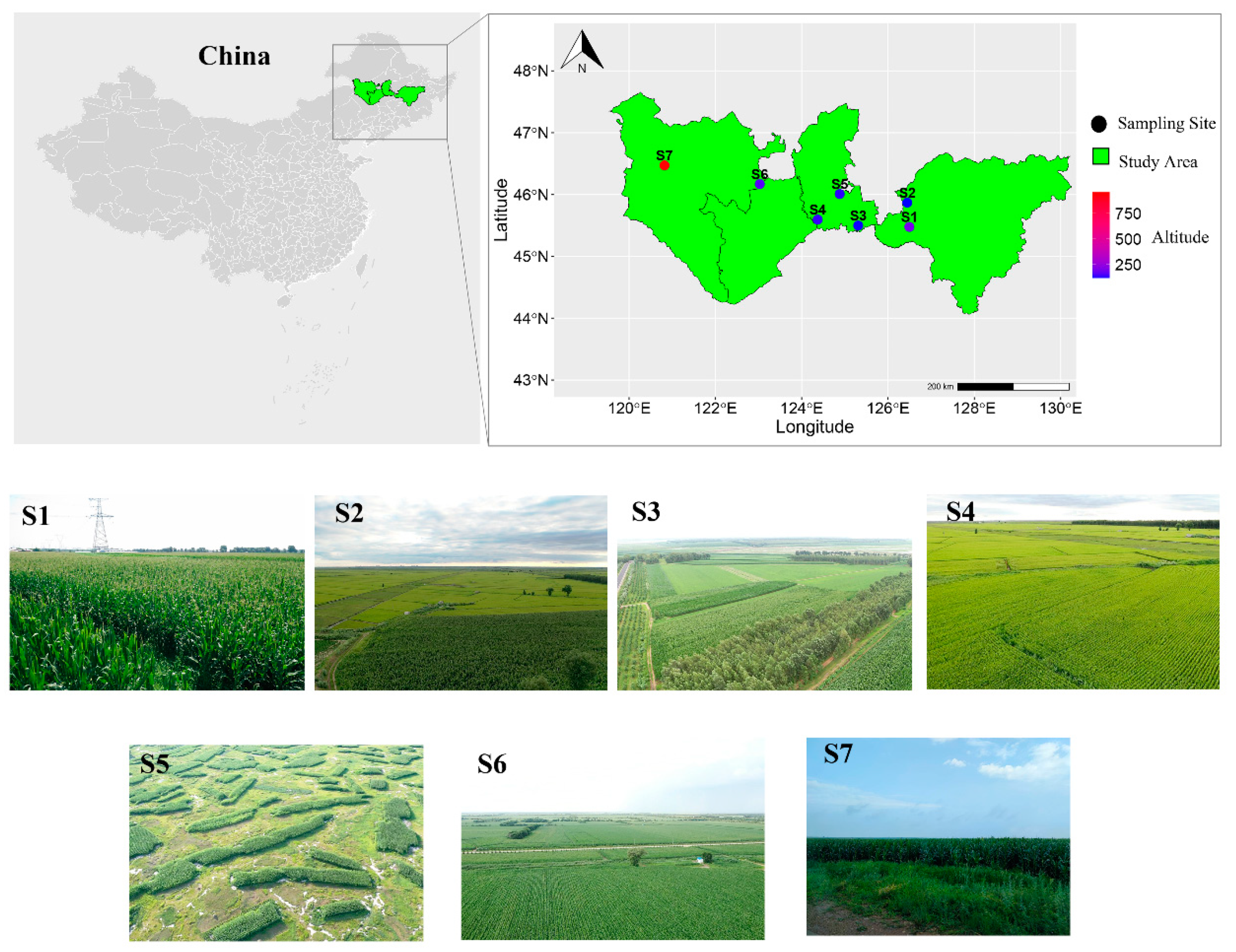 Microorganisms 12 00671 g001