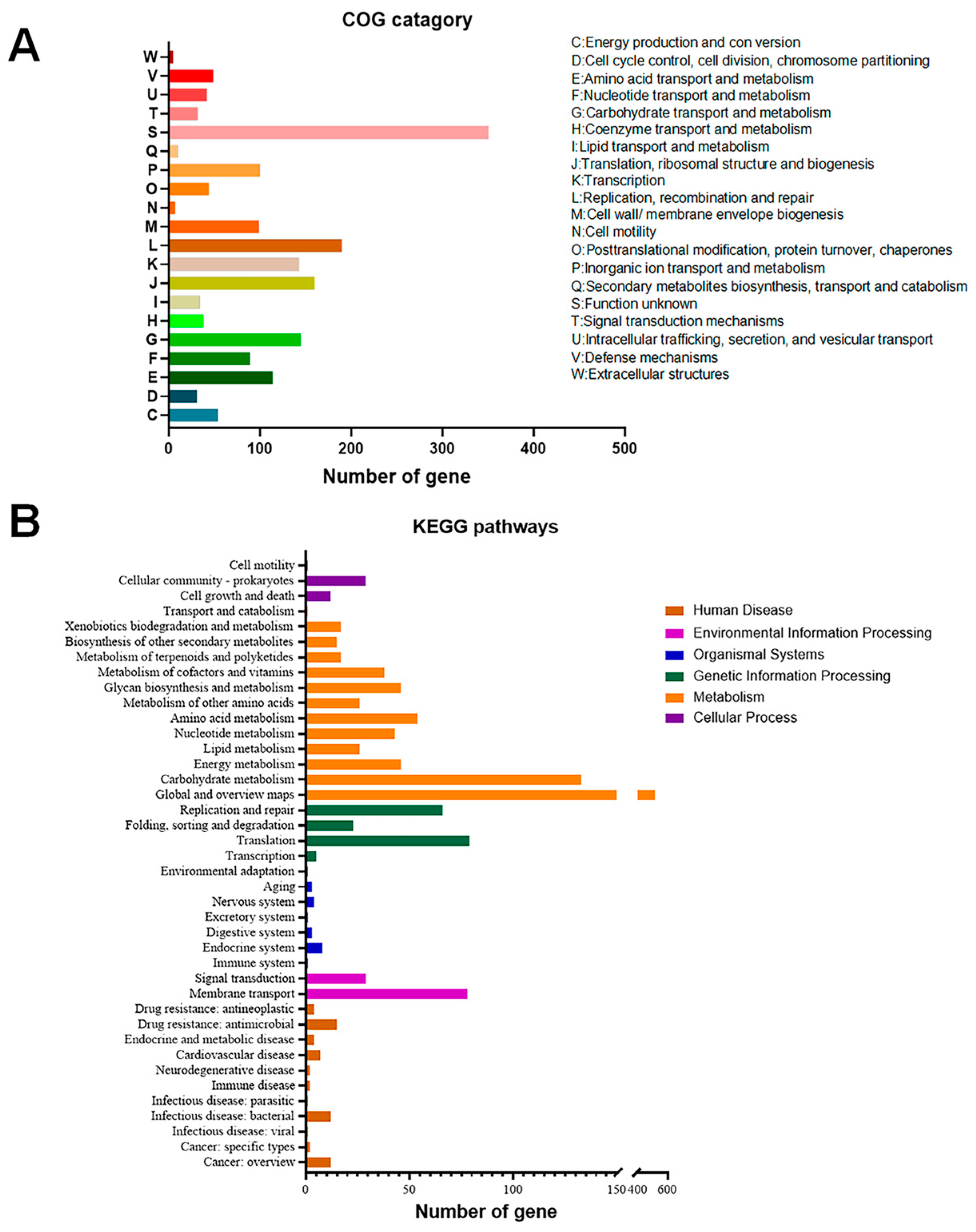 Microorganisms 12 00672 g003 Microorganisms 12 00672 g003