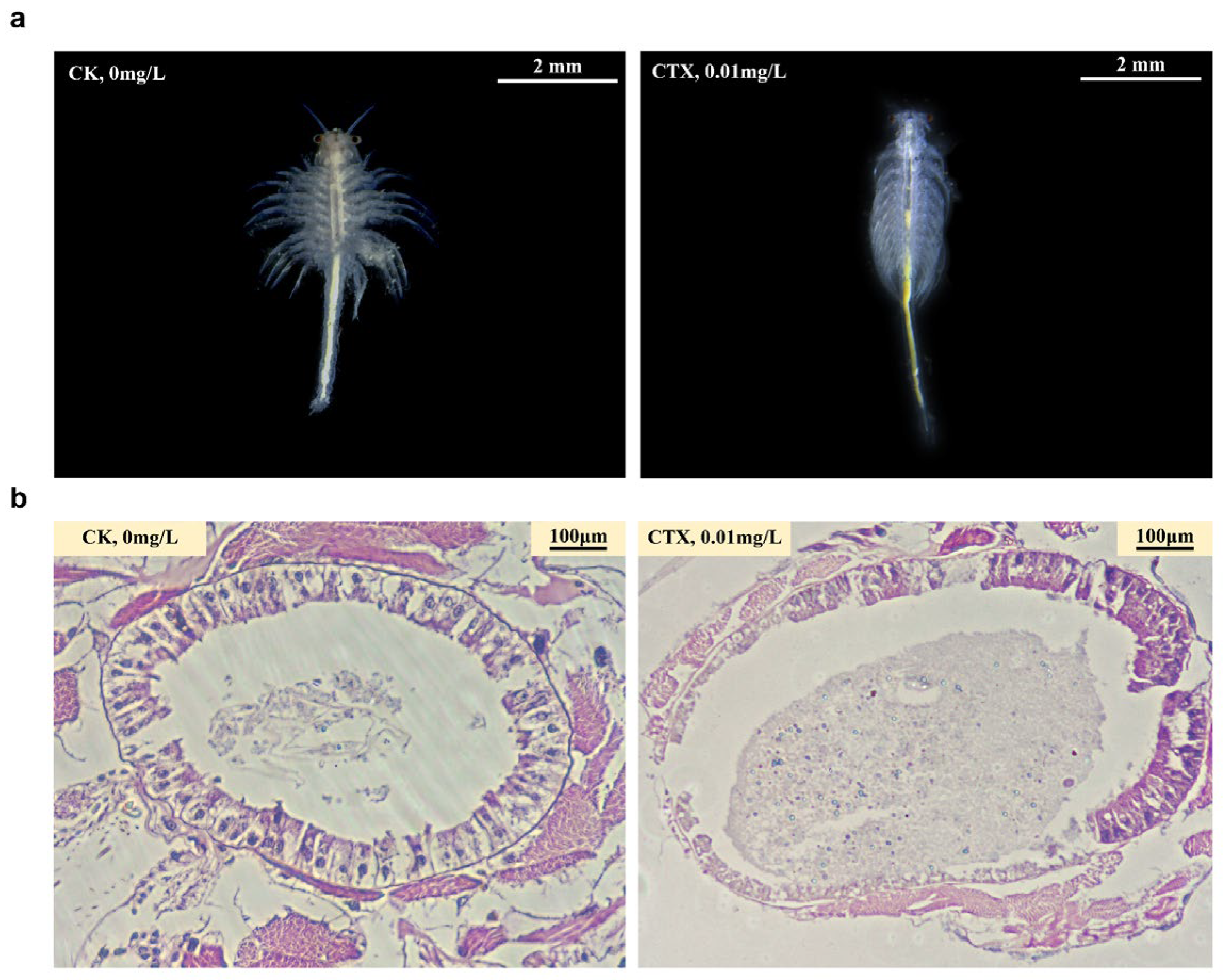 Microorganisms 12 00675 g002