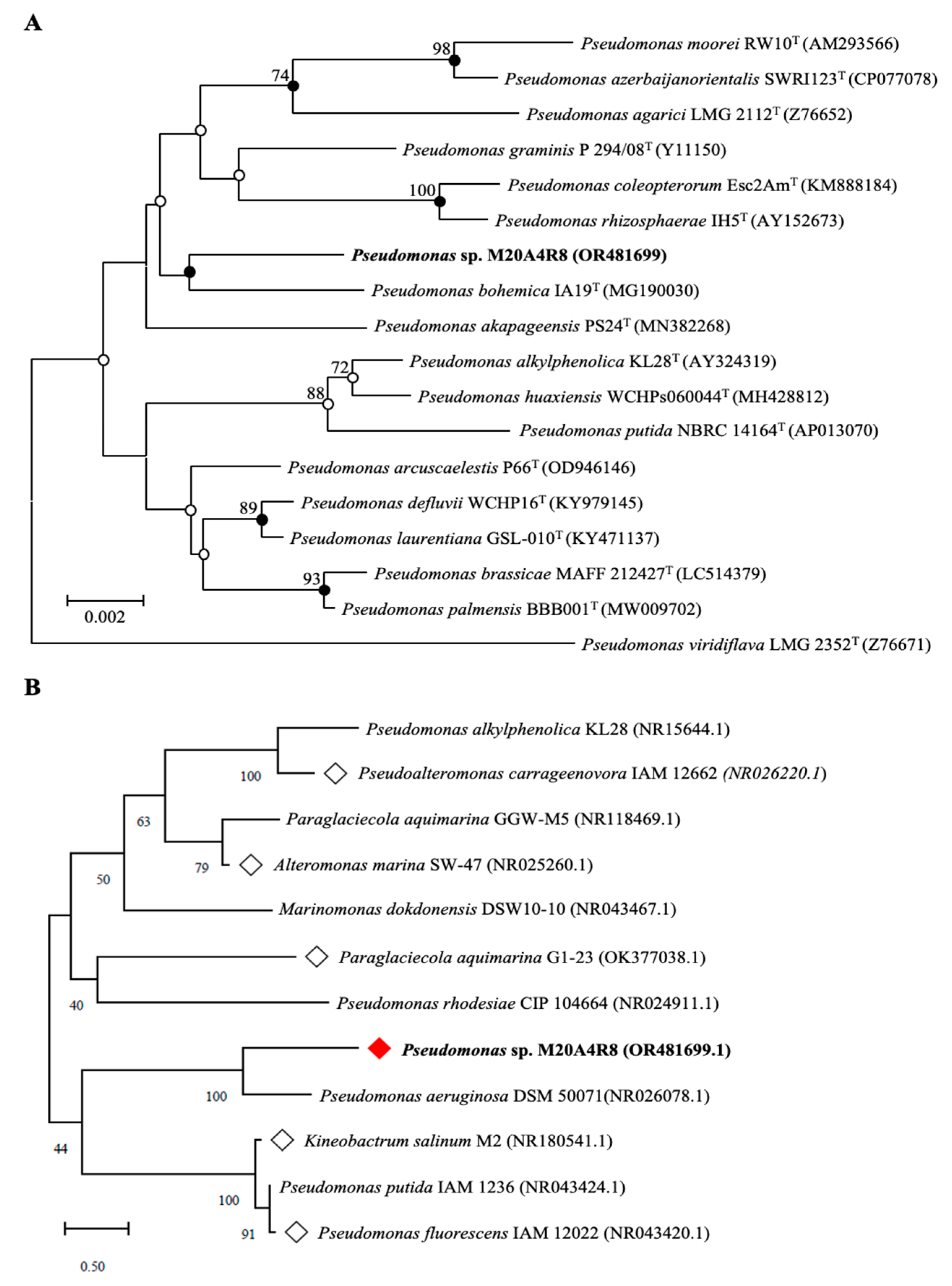 Microorganisms 12 00677 g001