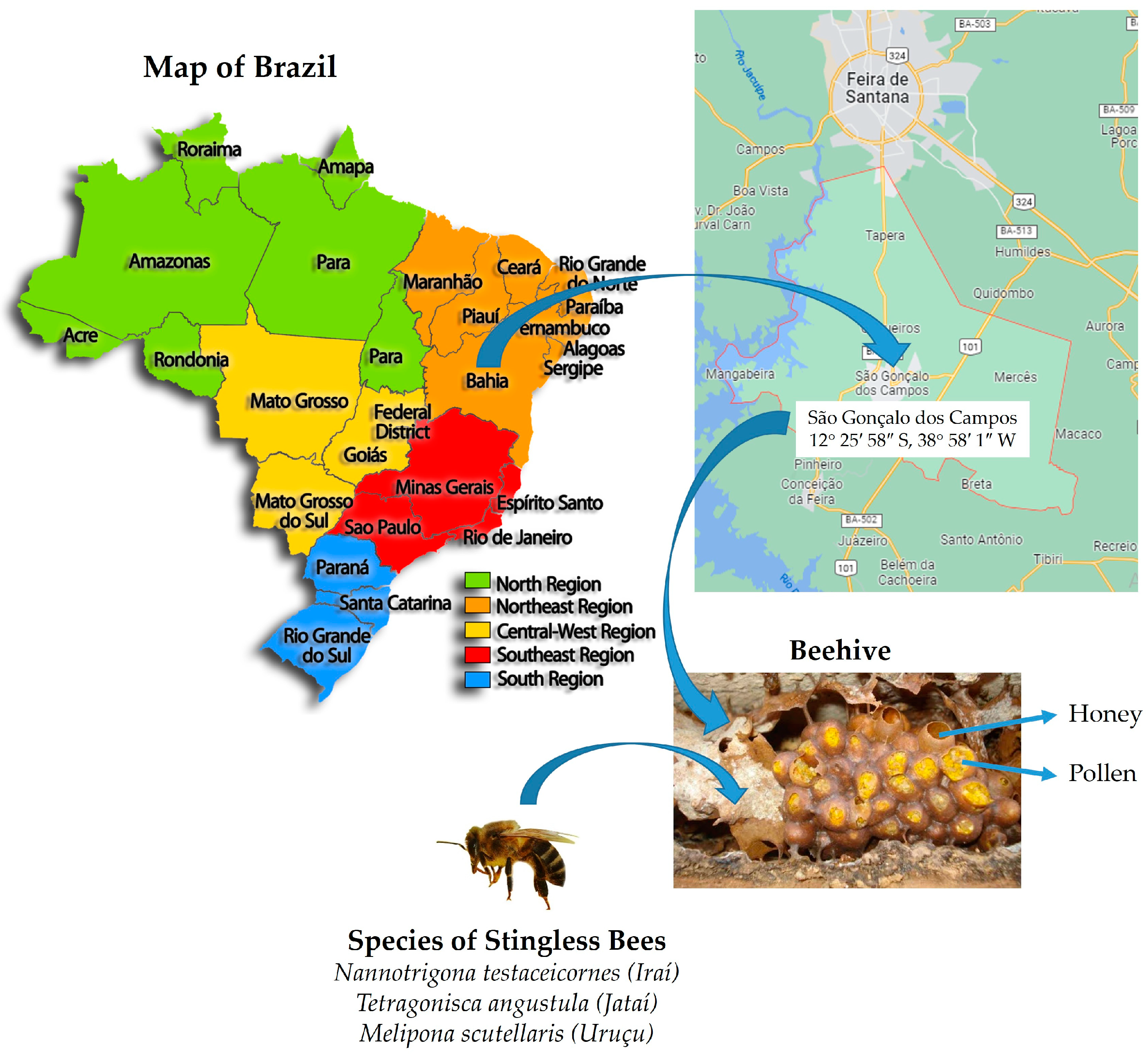 Microorganisms 12 00678 g001 Microorganisms 12 00678 g001