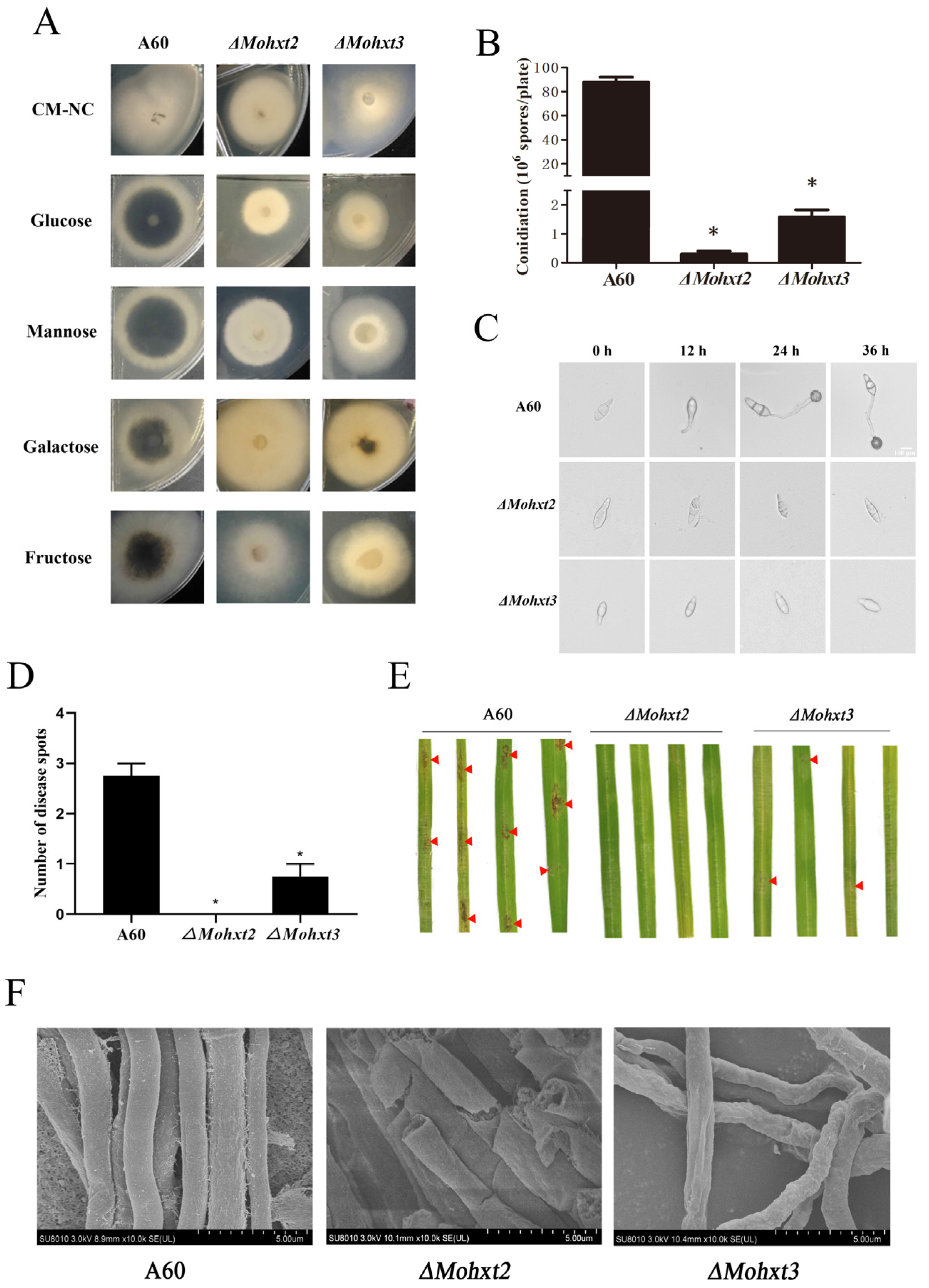 Microorganisms 12 00681 g001 Microorganisms 12 00681 g001