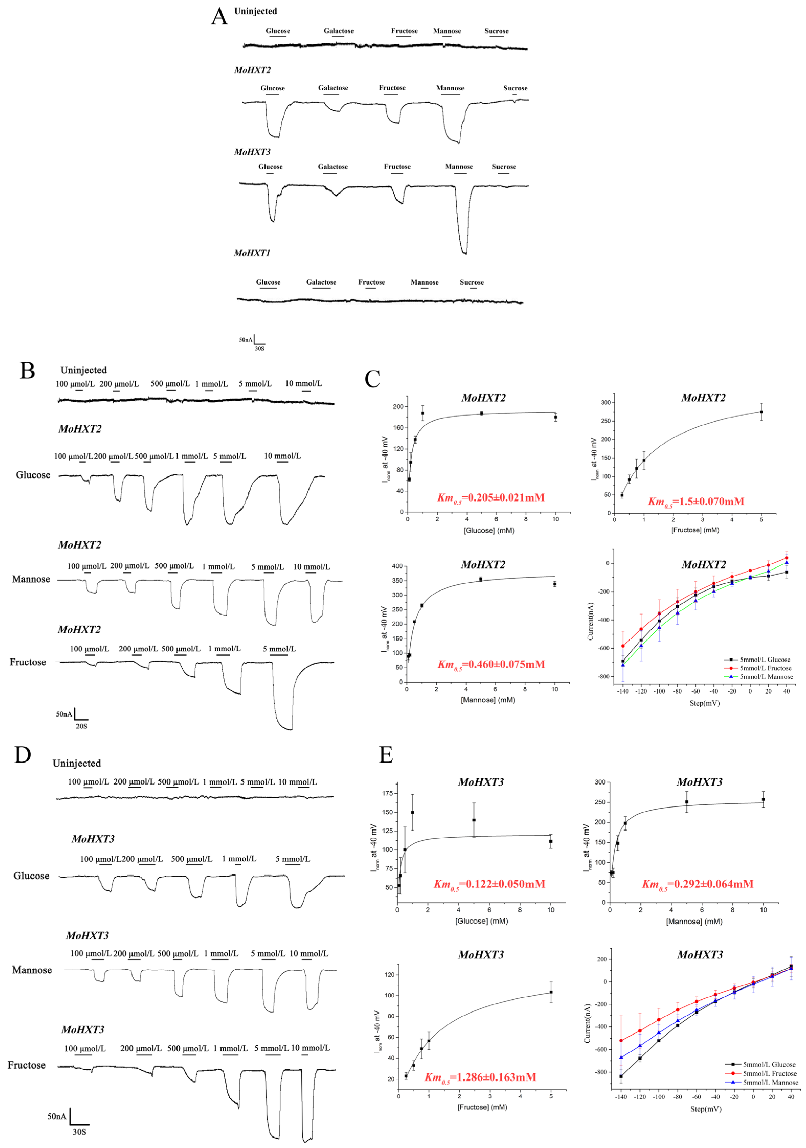 Microorganisms 12 00681 g002 Microorganisms 12 00681 g002