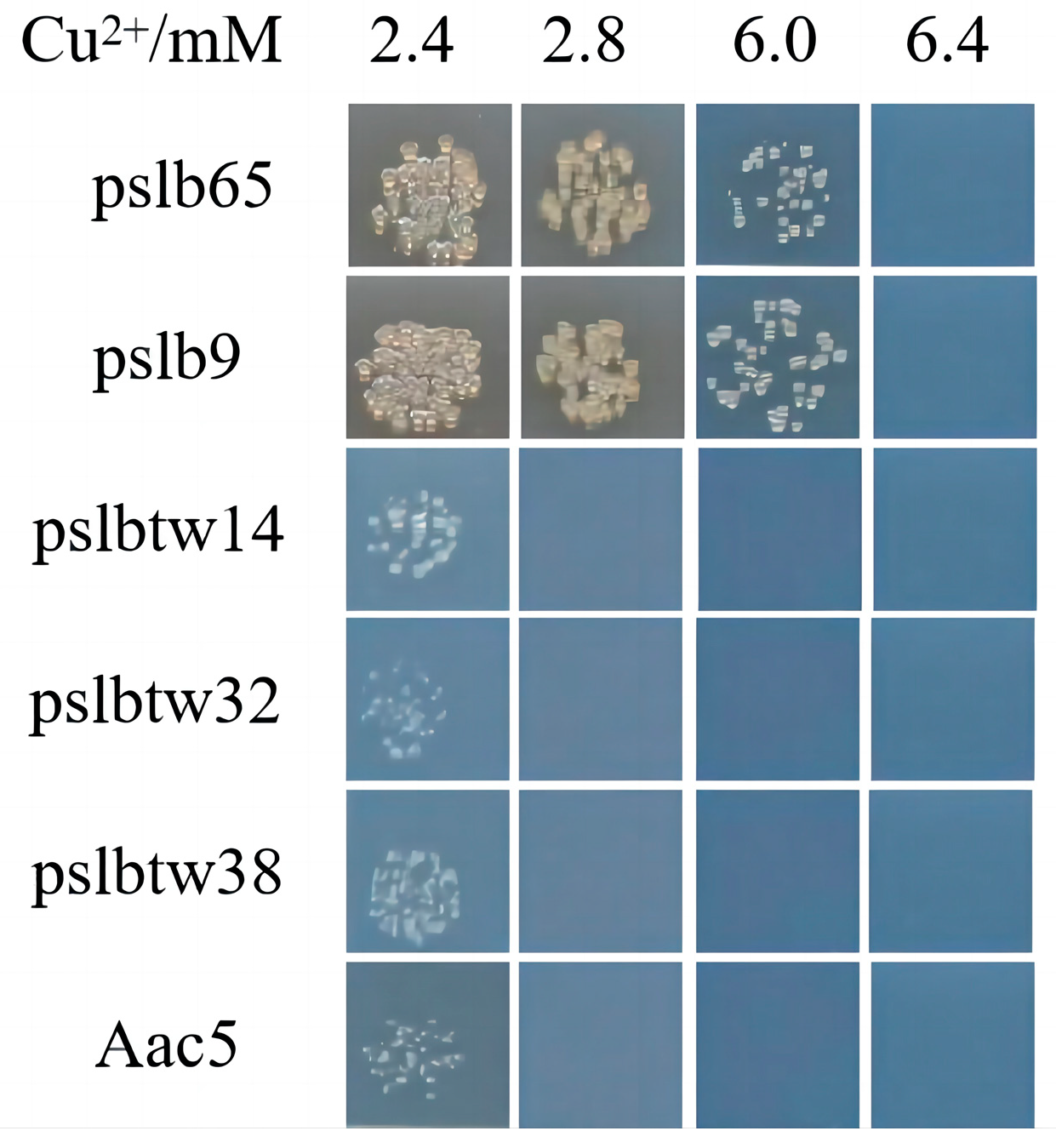 Microorganisms 12 00682 g001