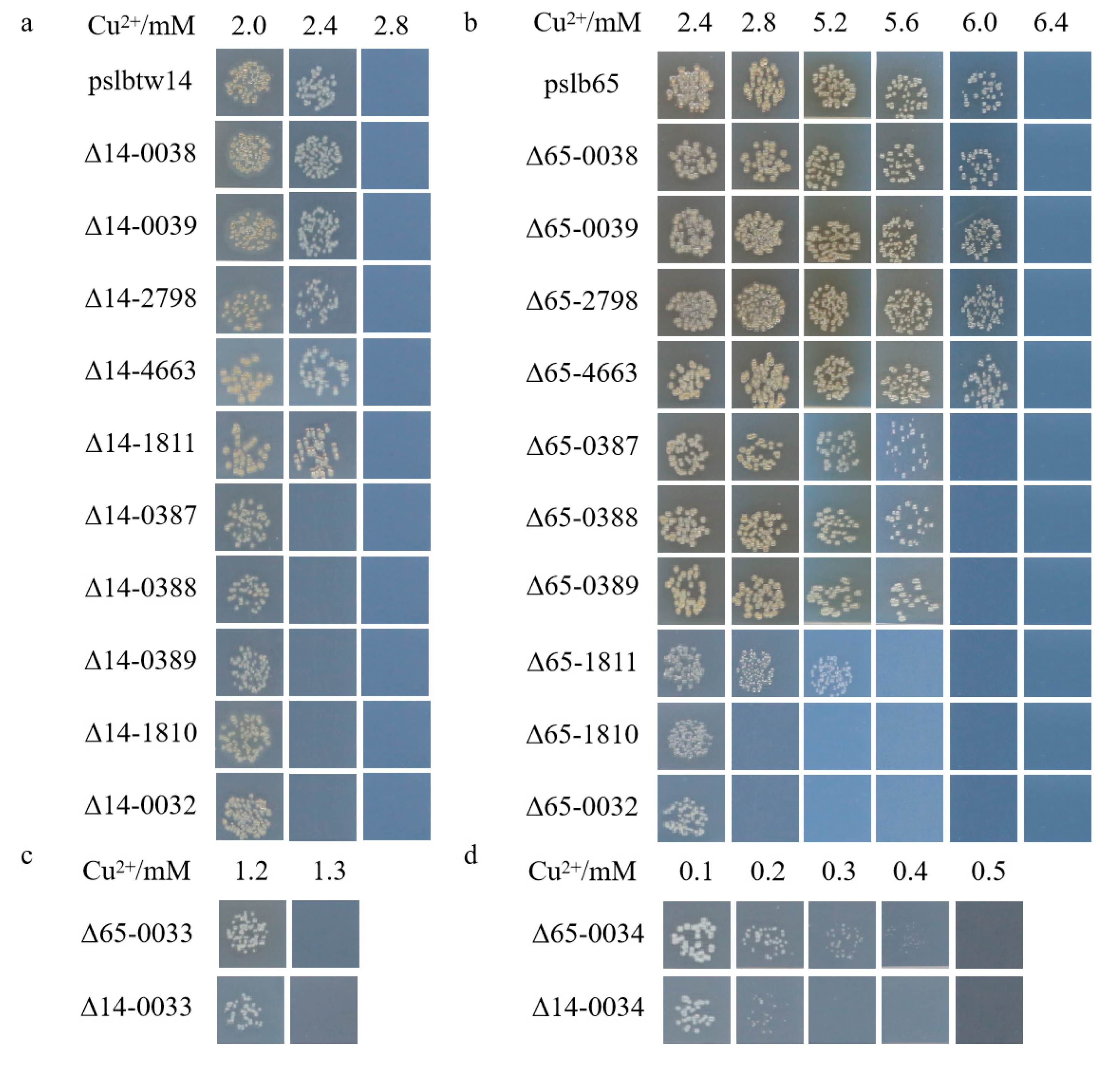 Microorganisms 12 00682 g003