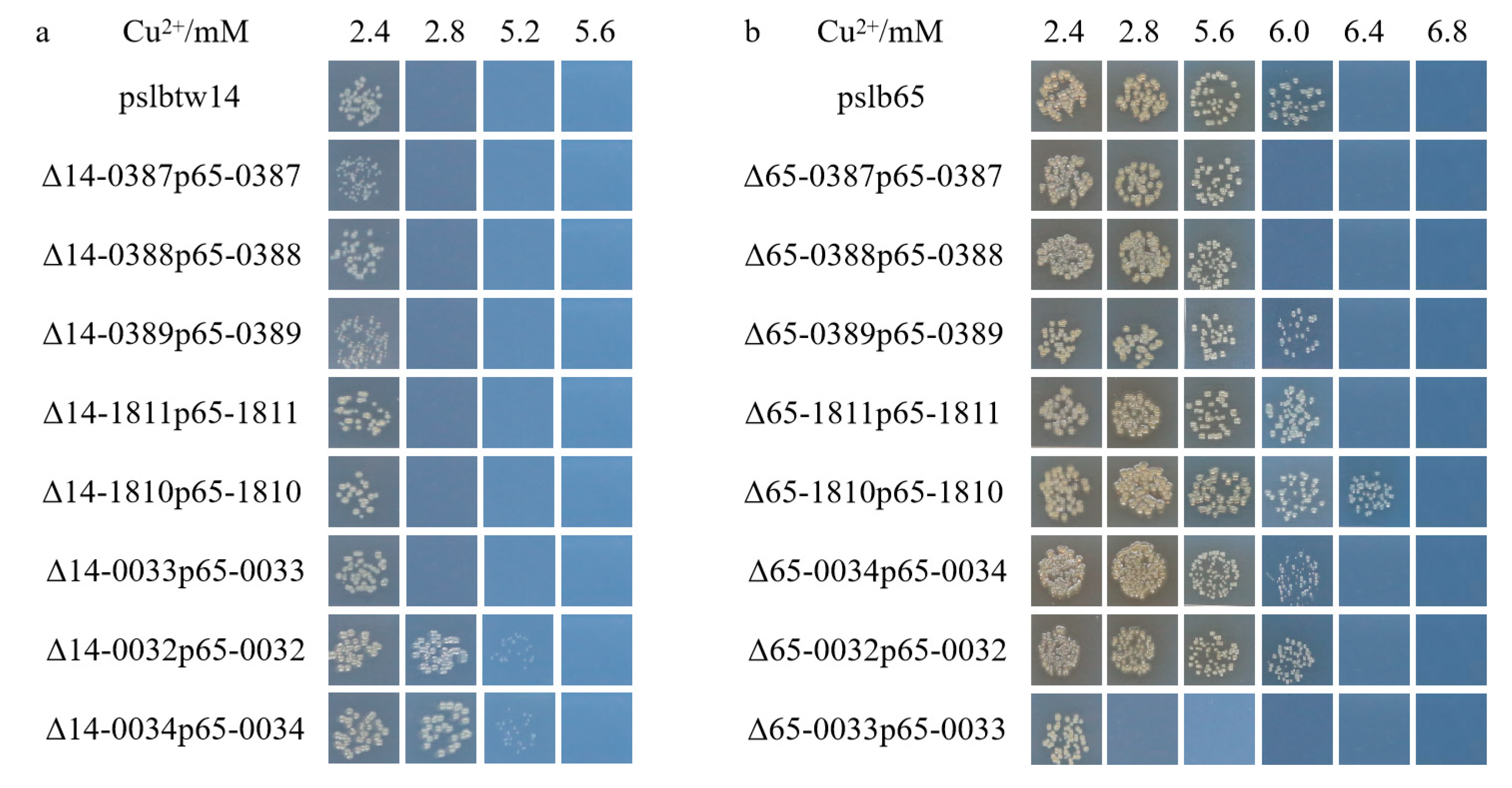Microorganisms 12 00682 g005