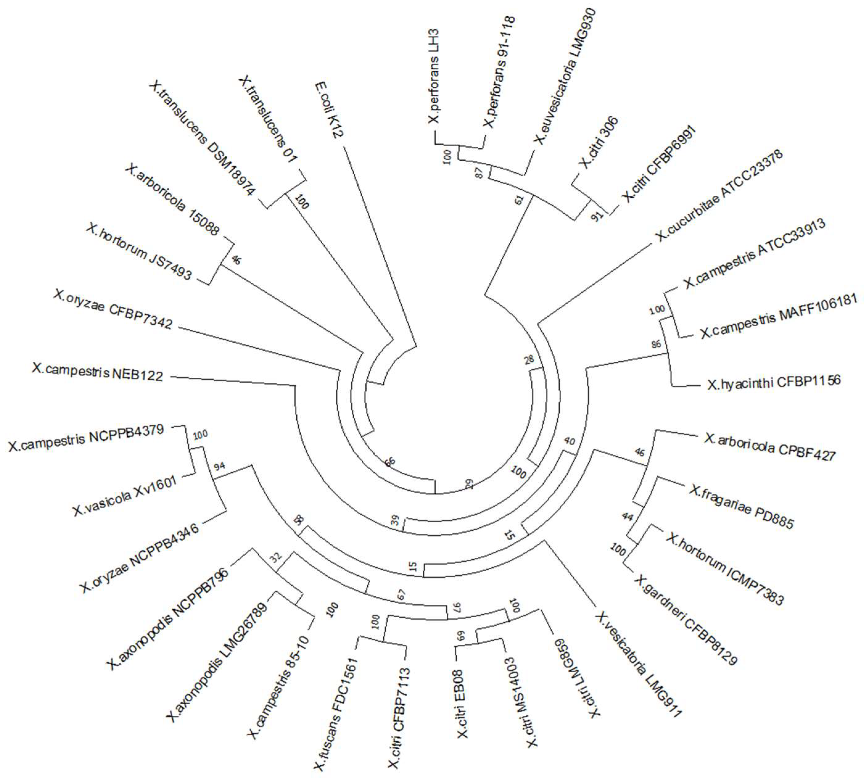 Microorganisms 12 00691 g001