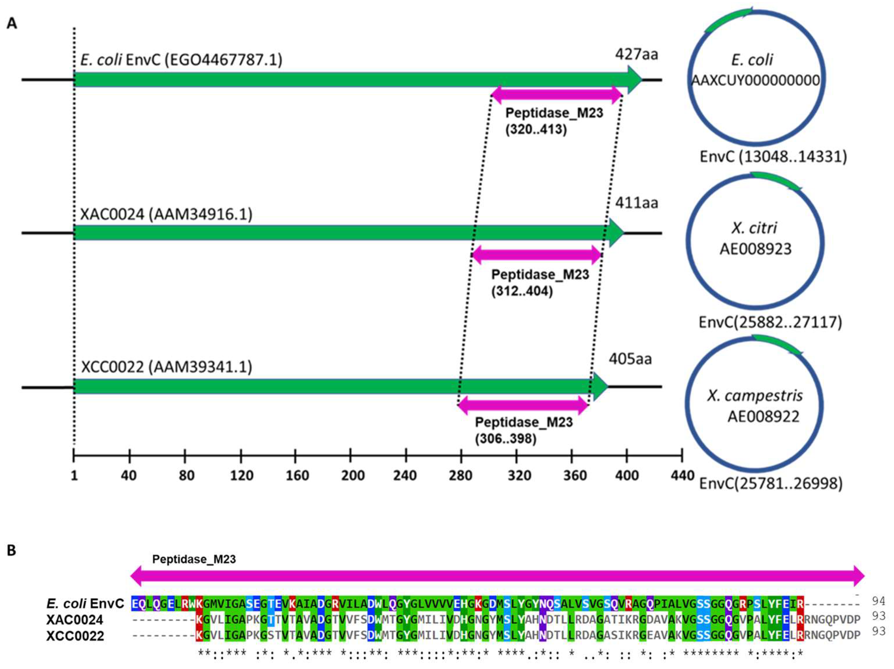 Microorganisms 12 00691 g002