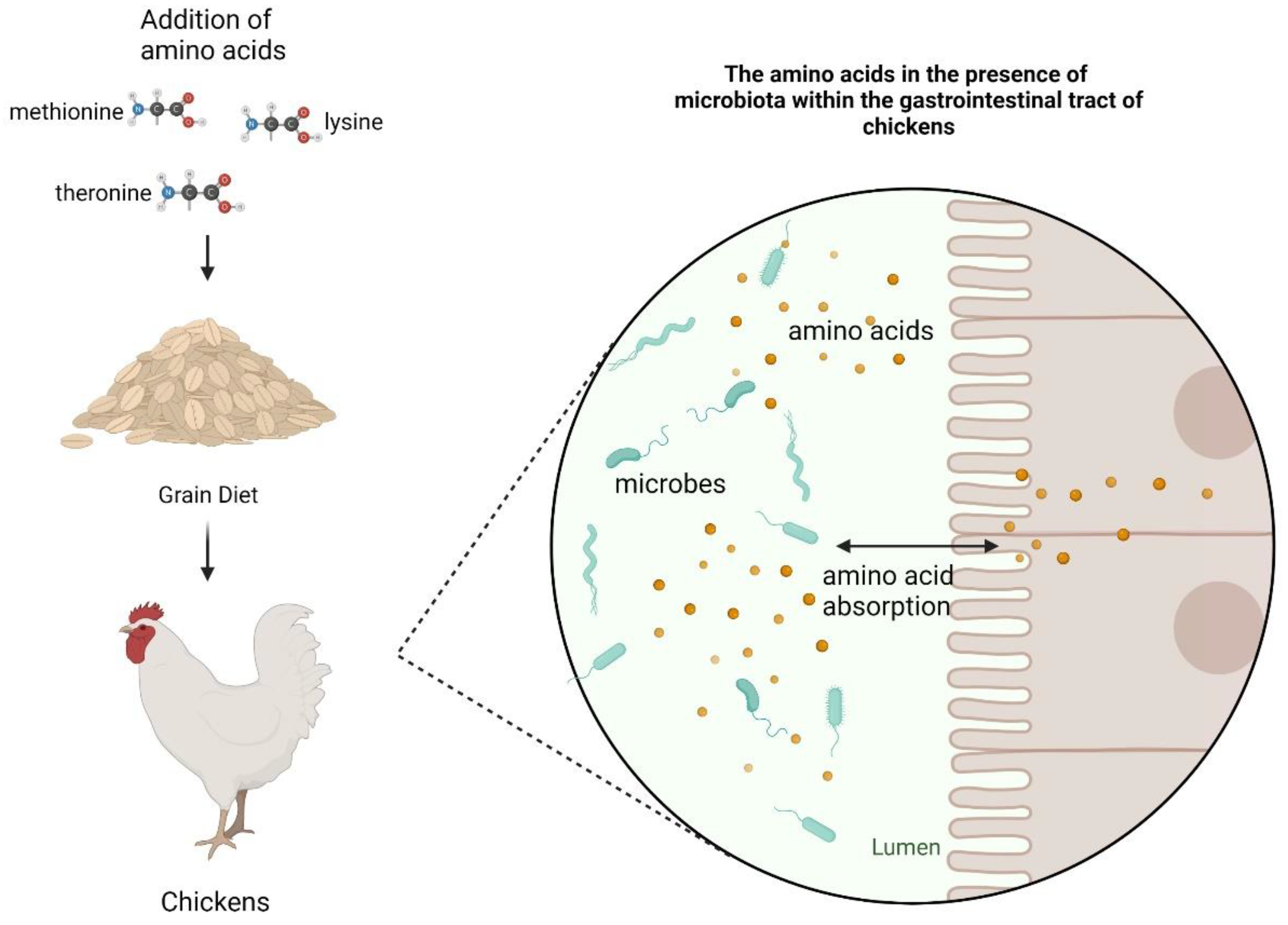 Microorganisms 12 00693 g001 Microorganisms 12 00693 g001