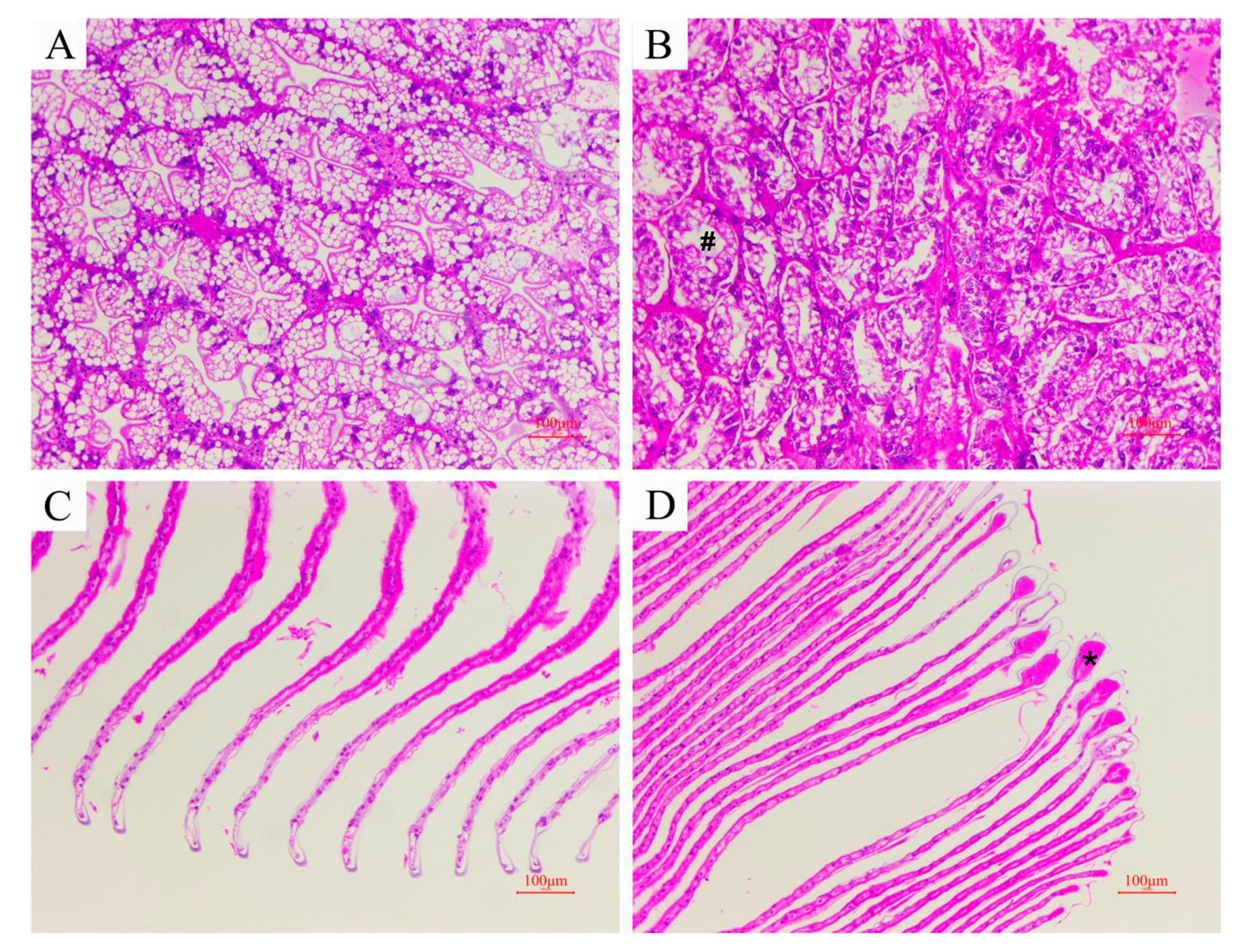 Microorganisms 12 00694 g001