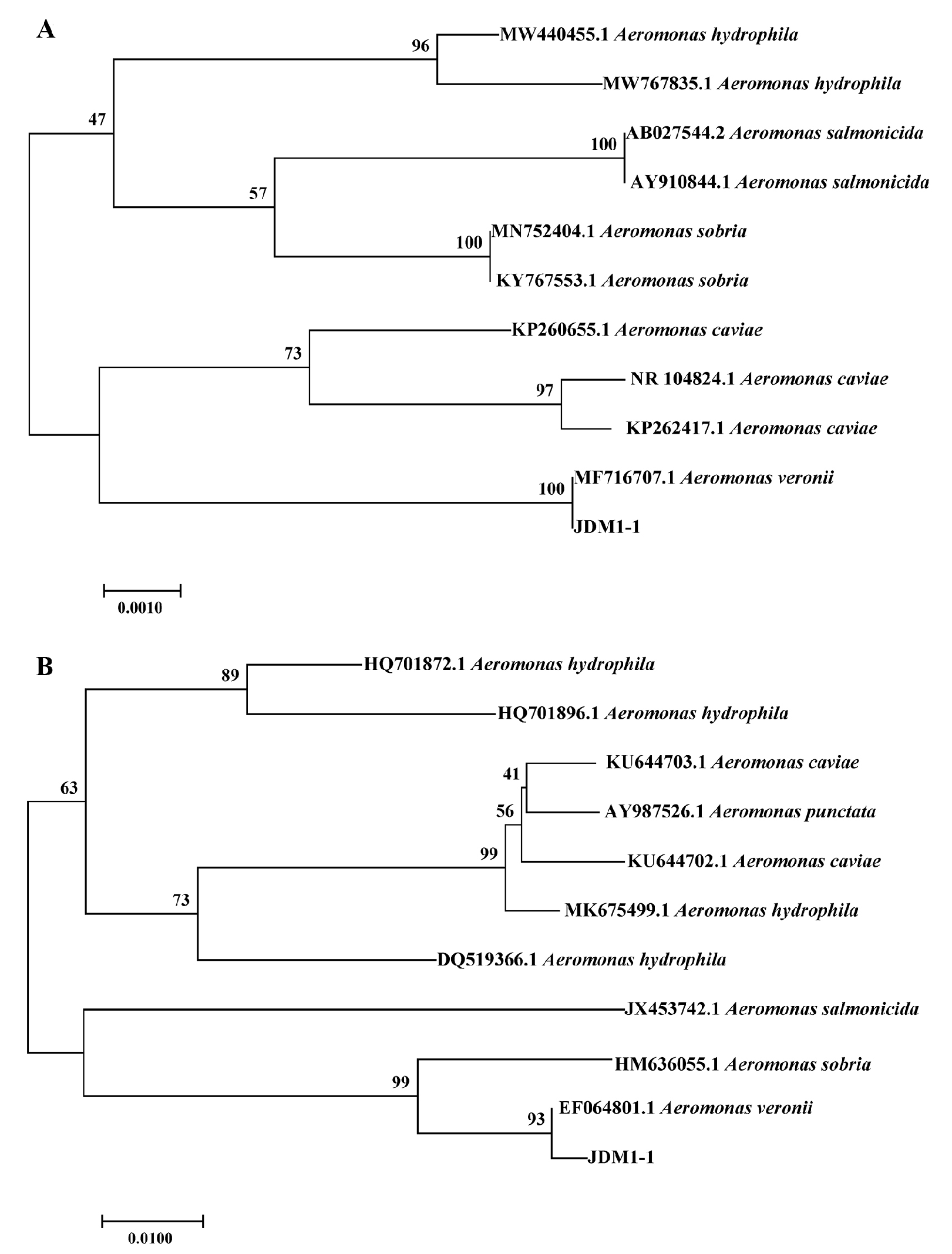Microorganisms 12 00694 g003