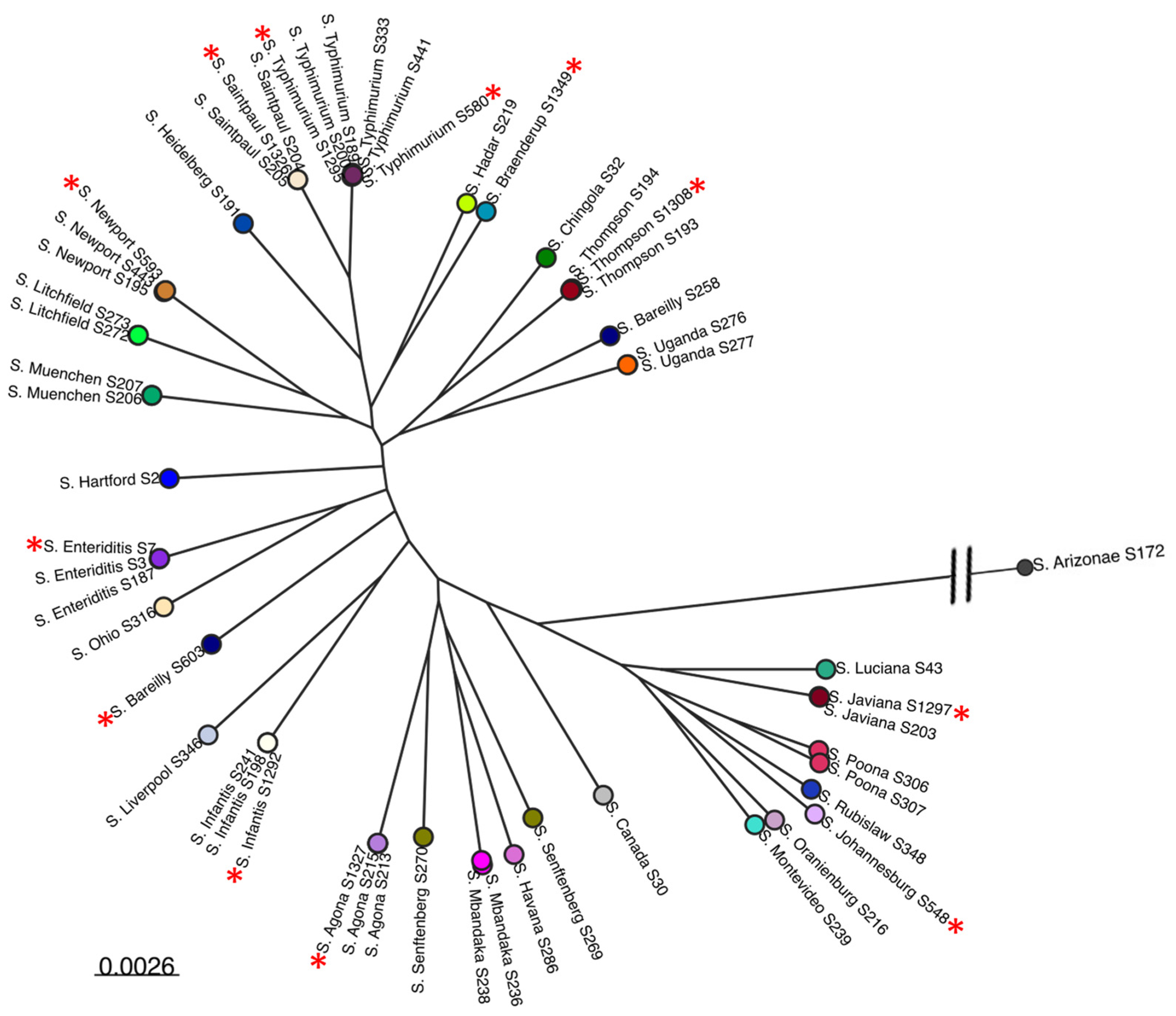 Microorganisms 12 00695 g001