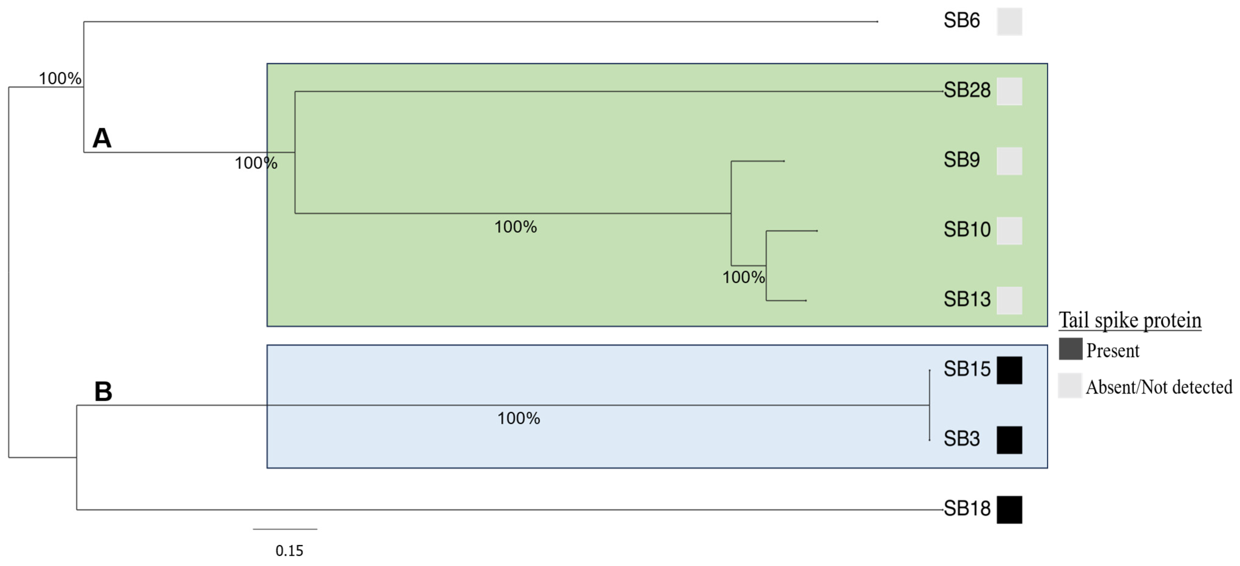 Microorganisms 12 00695 g003