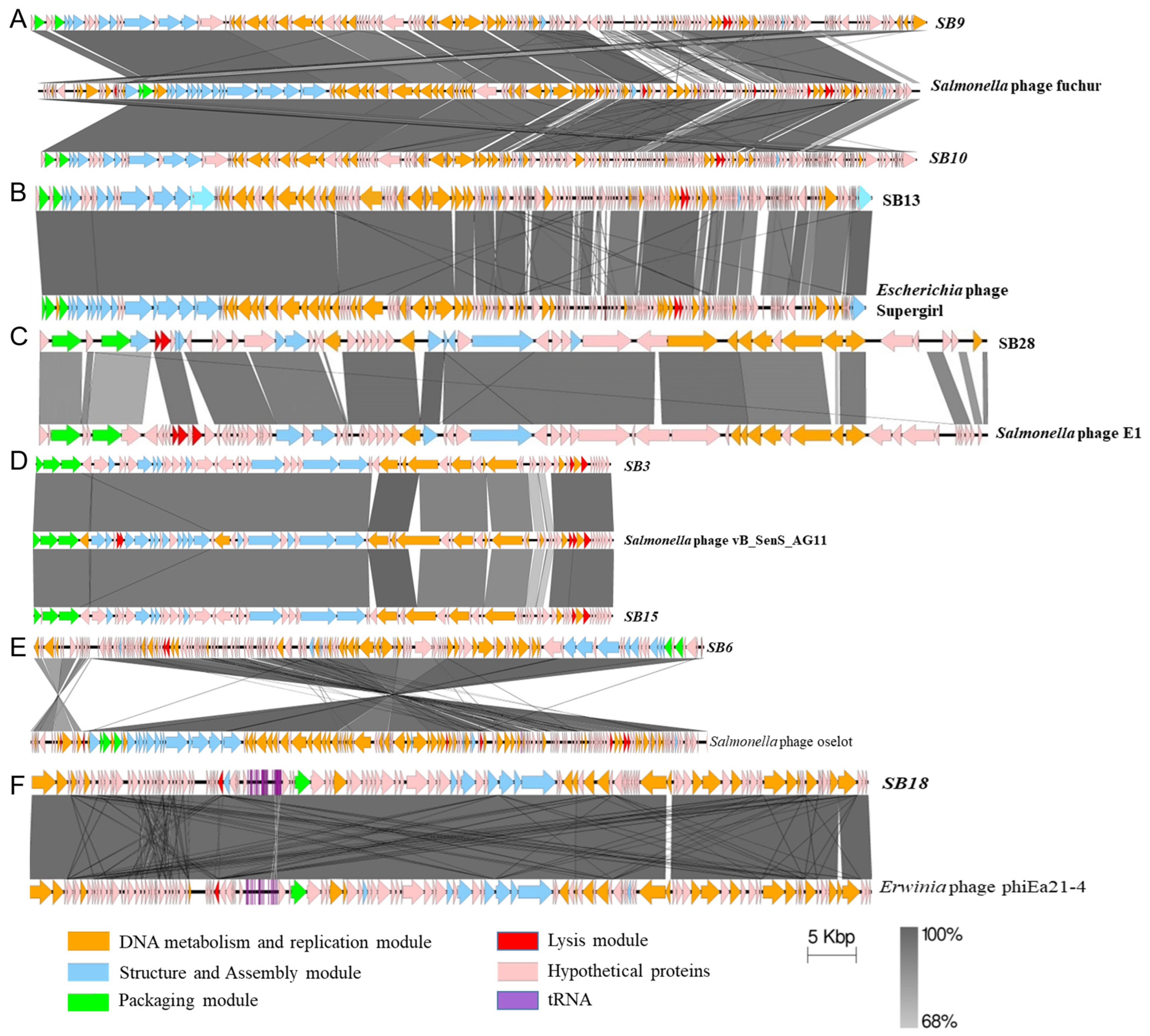 Microorganisms 12 00695 g004