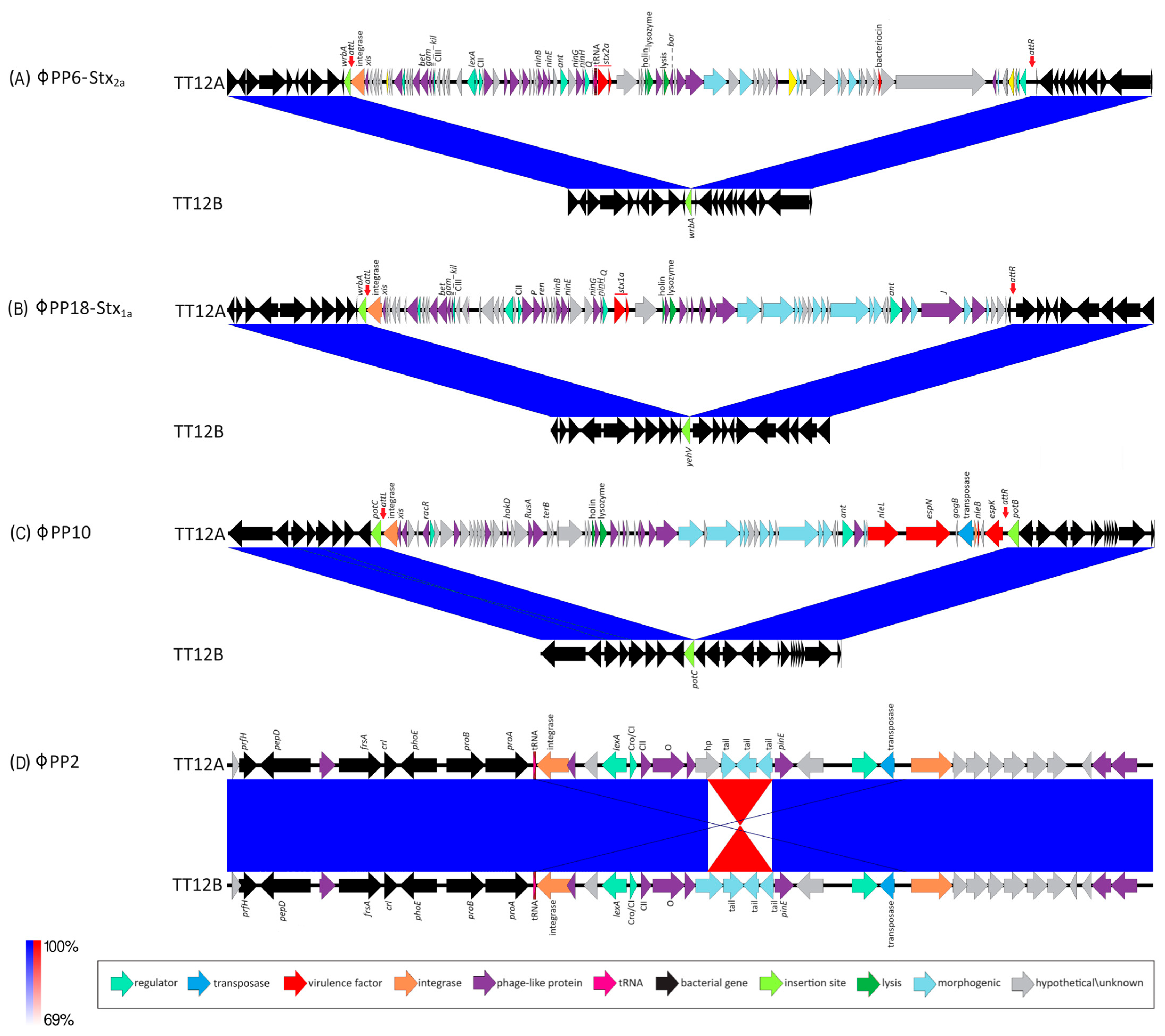 Microorganisms 12 00699 g002 Microorganisms 12 00699 g002