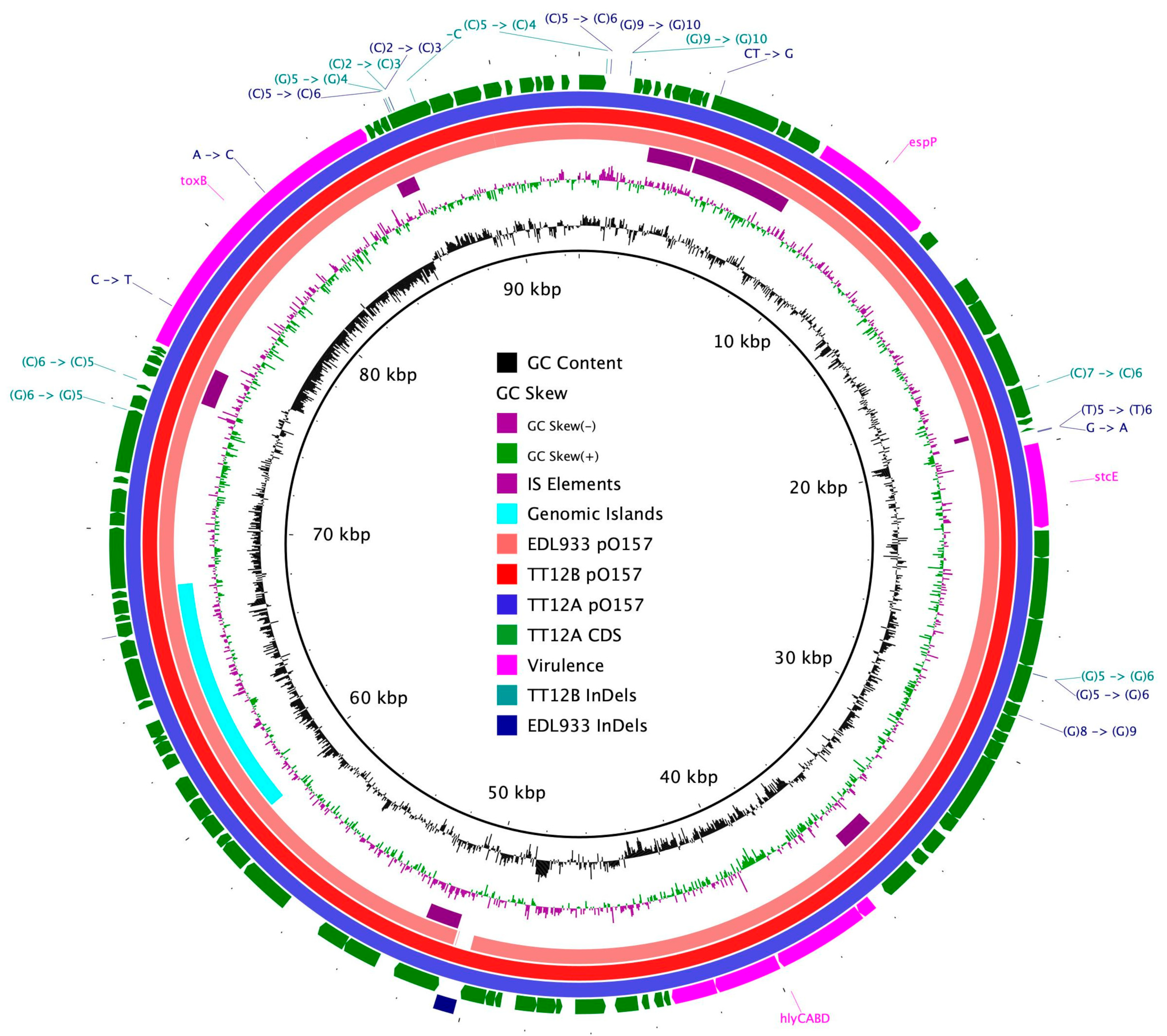Microorganisms 12 00699 g003 Microorganisms 12 00699 g003