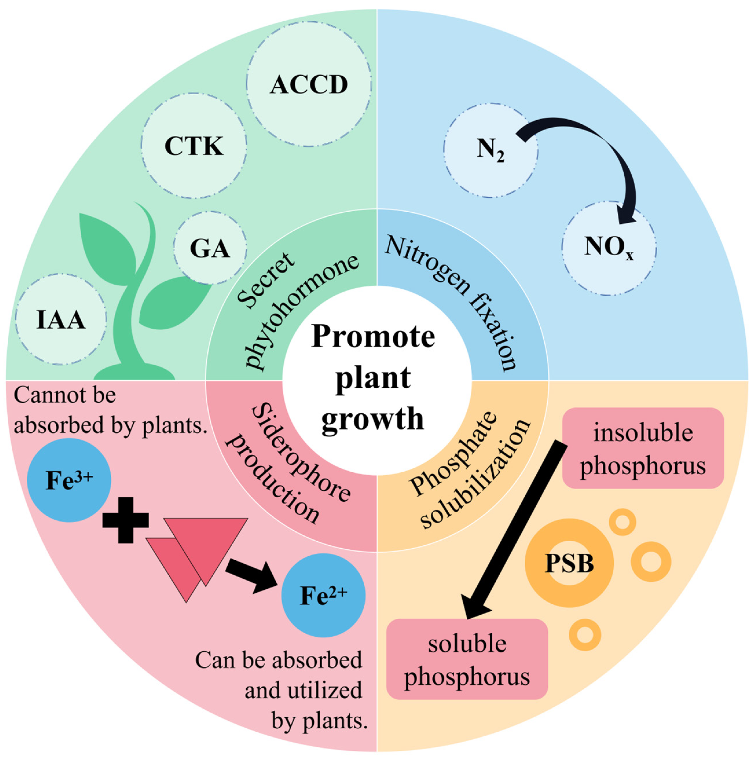 Microorganisms 12 00700 g002