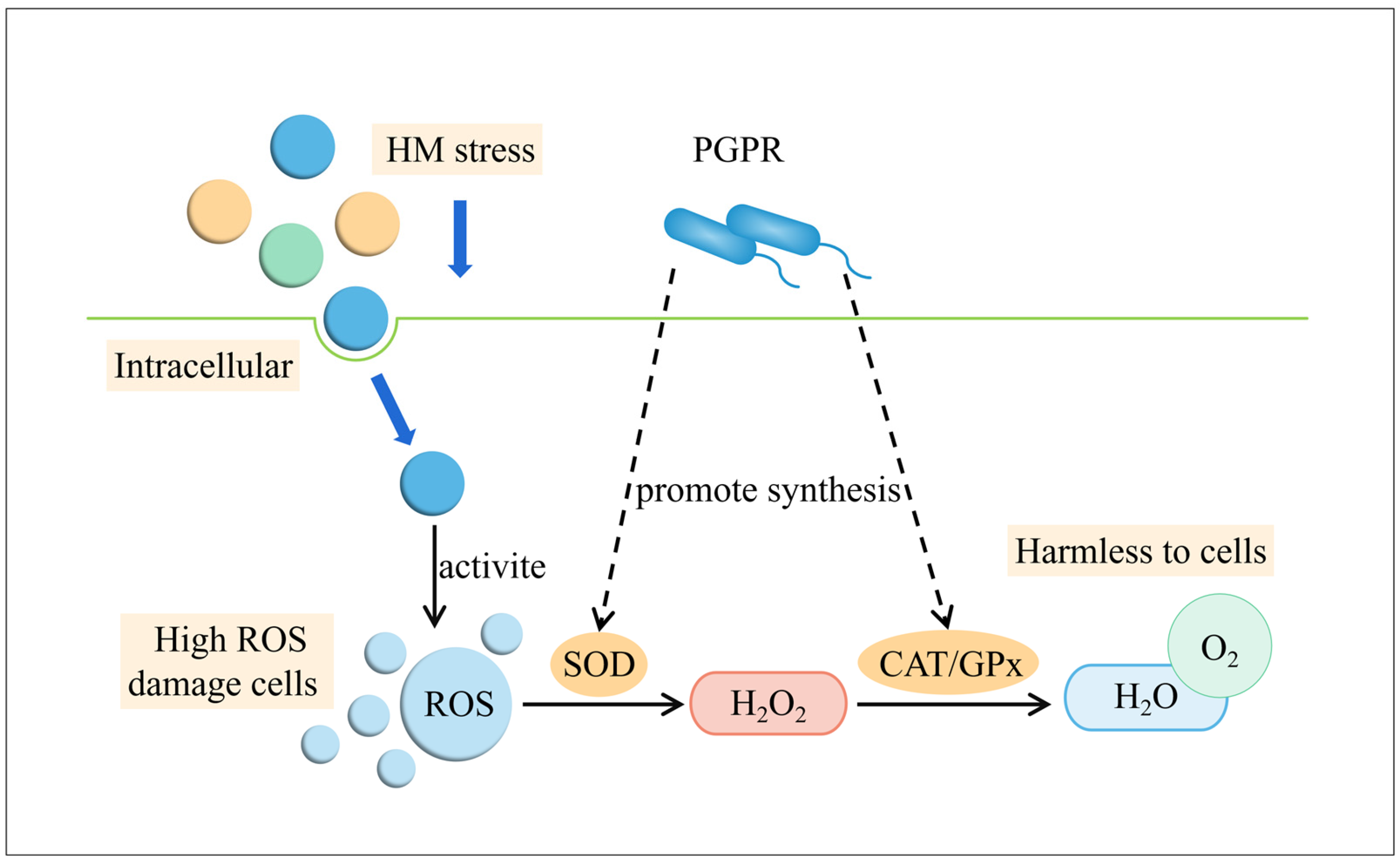 Microorganisms 12 00700 g005