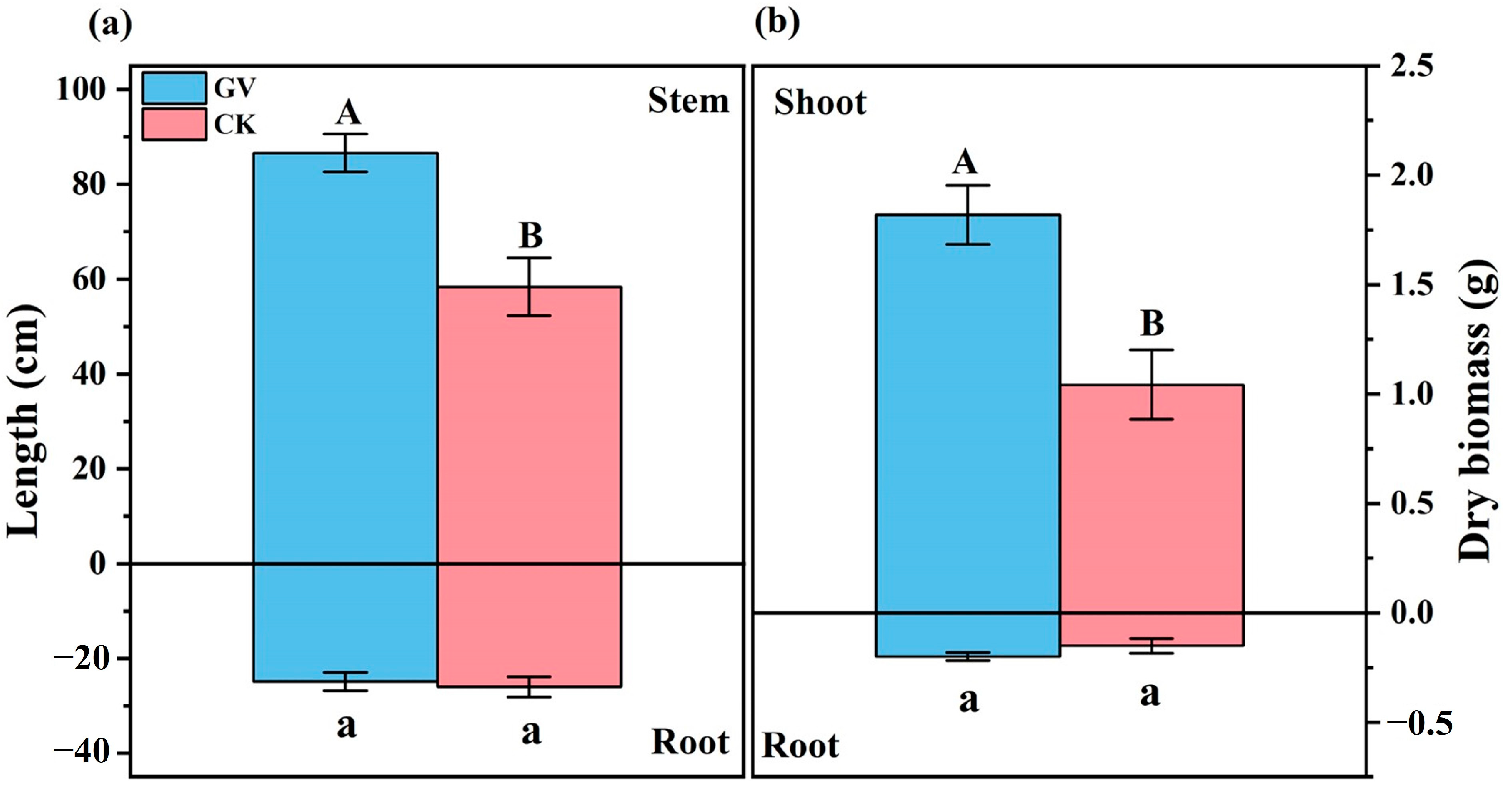 Microorganisms 12 00701 g001