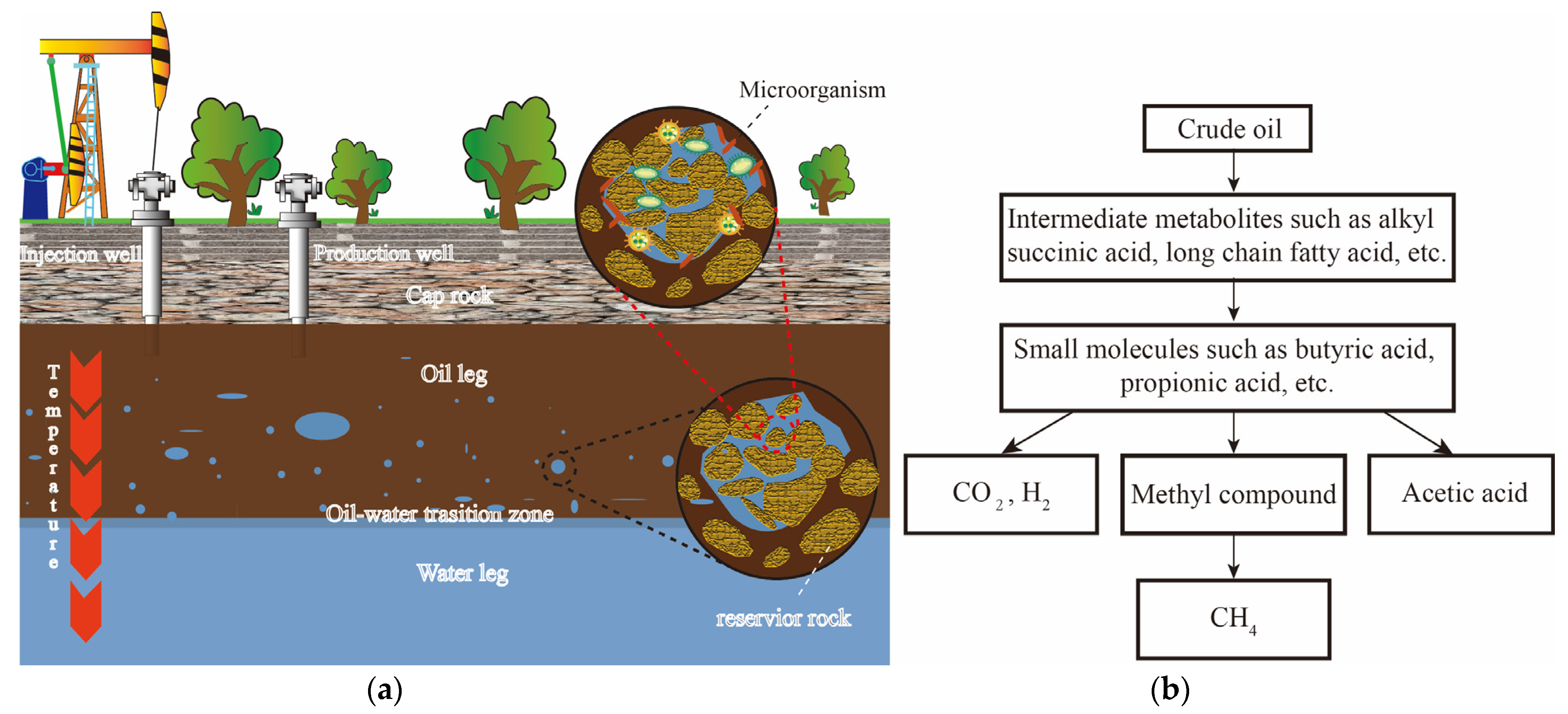 Microorganisms 12 00702 g001 Microorganisms 12 00702 g001