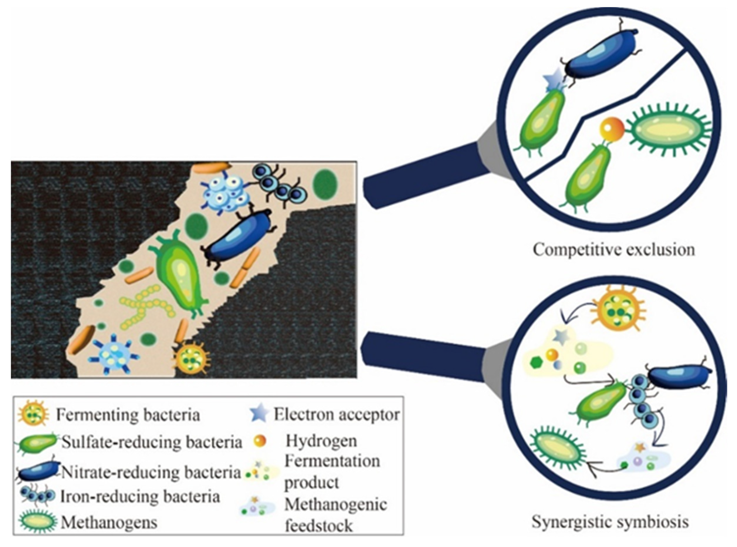 Microorganisms 12 00702 g003 Microorganisms 12 00702 g003