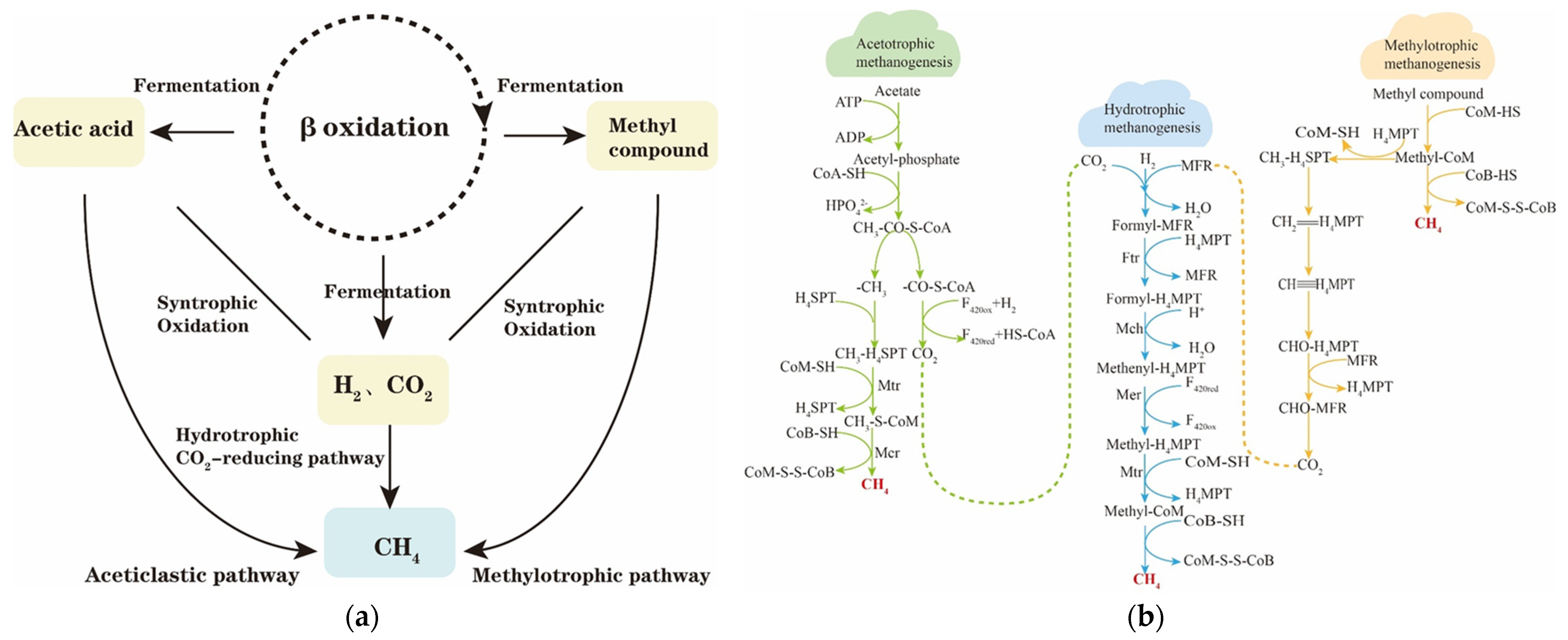 Microorganisms 12 00702 g006 Microorganisms 12 00702 g006
