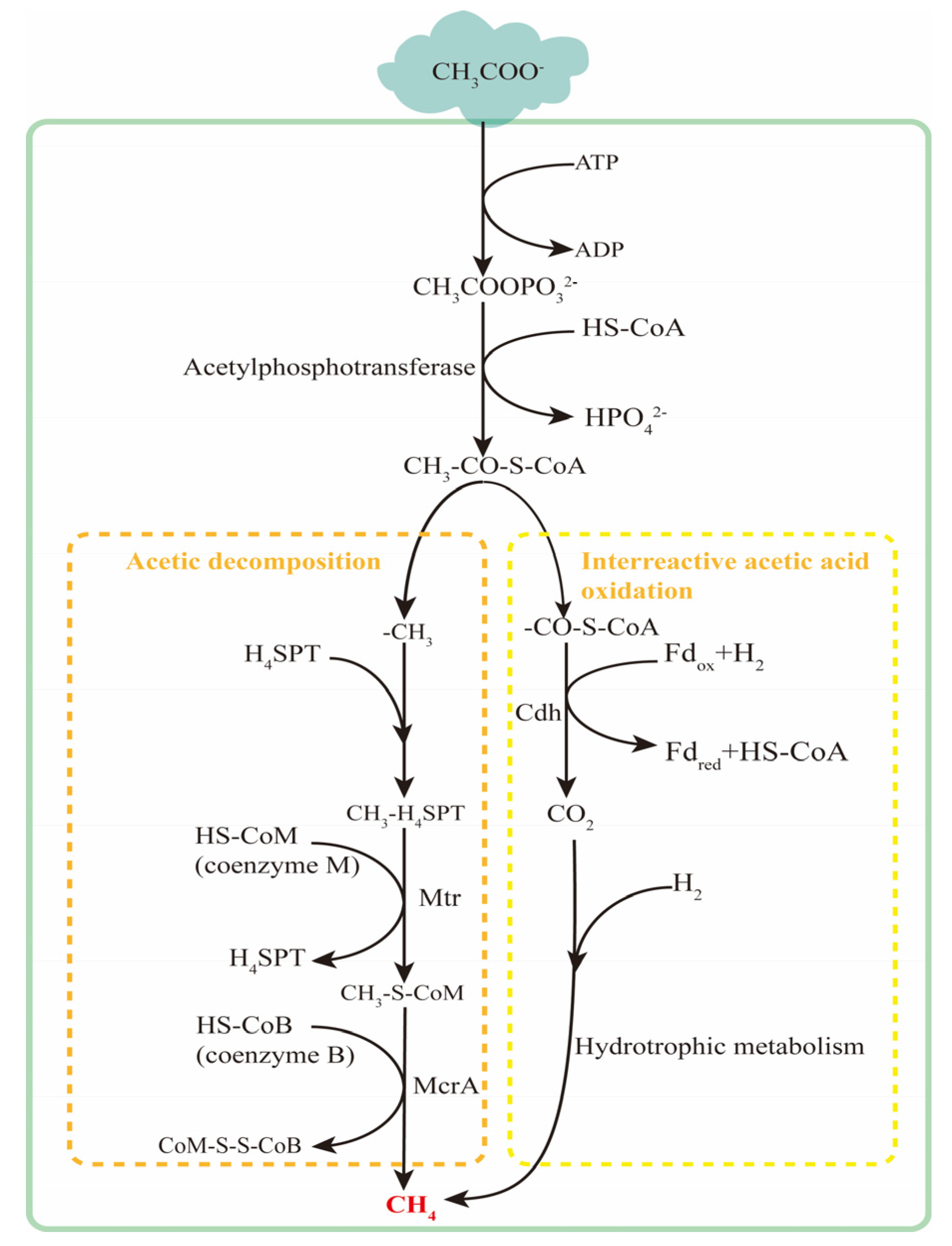 Microorganisms 12 00702 g008 Microorganisms 12 00702 g008