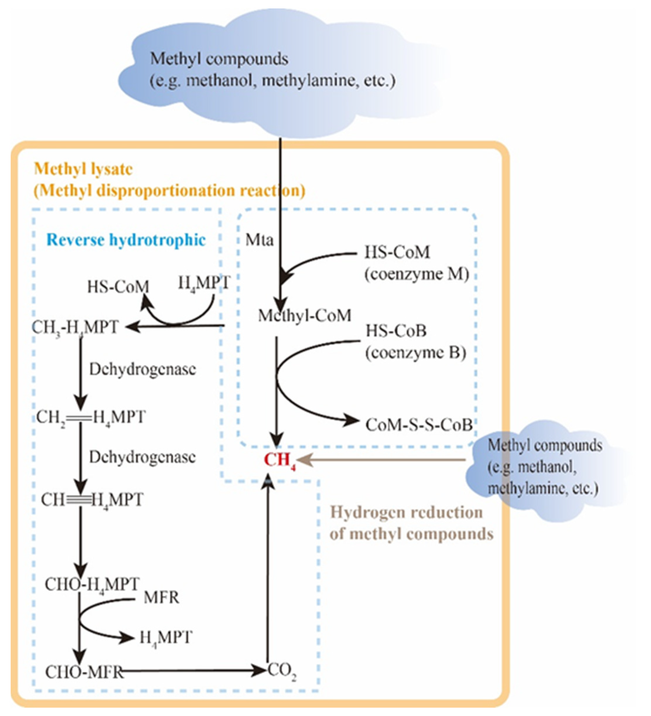 Microorganisms 12 00702 g009 Microorganisms 12 00702 g009