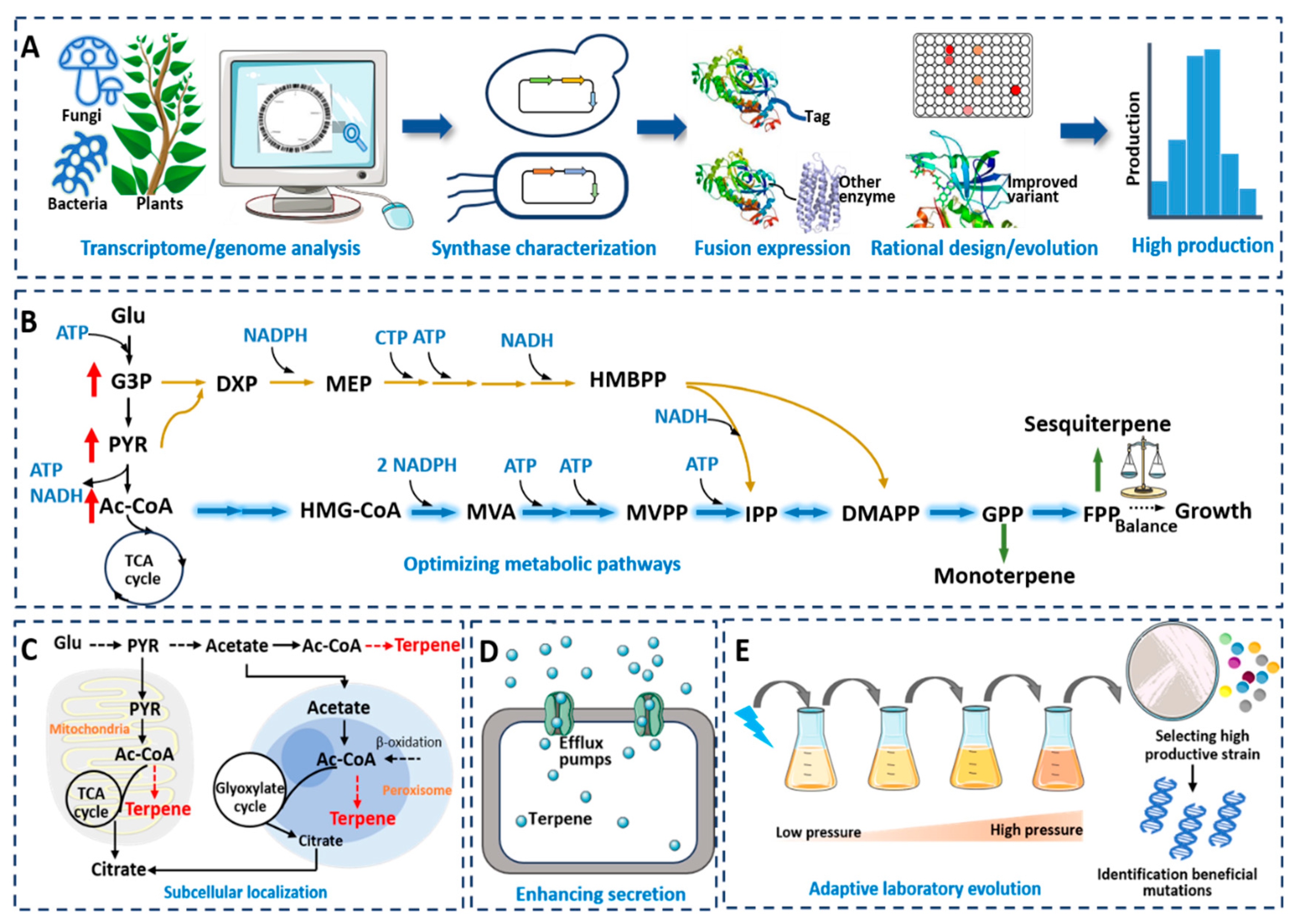 Microorganisms 12 00706 g002 Microorganisms 12 00706 g002